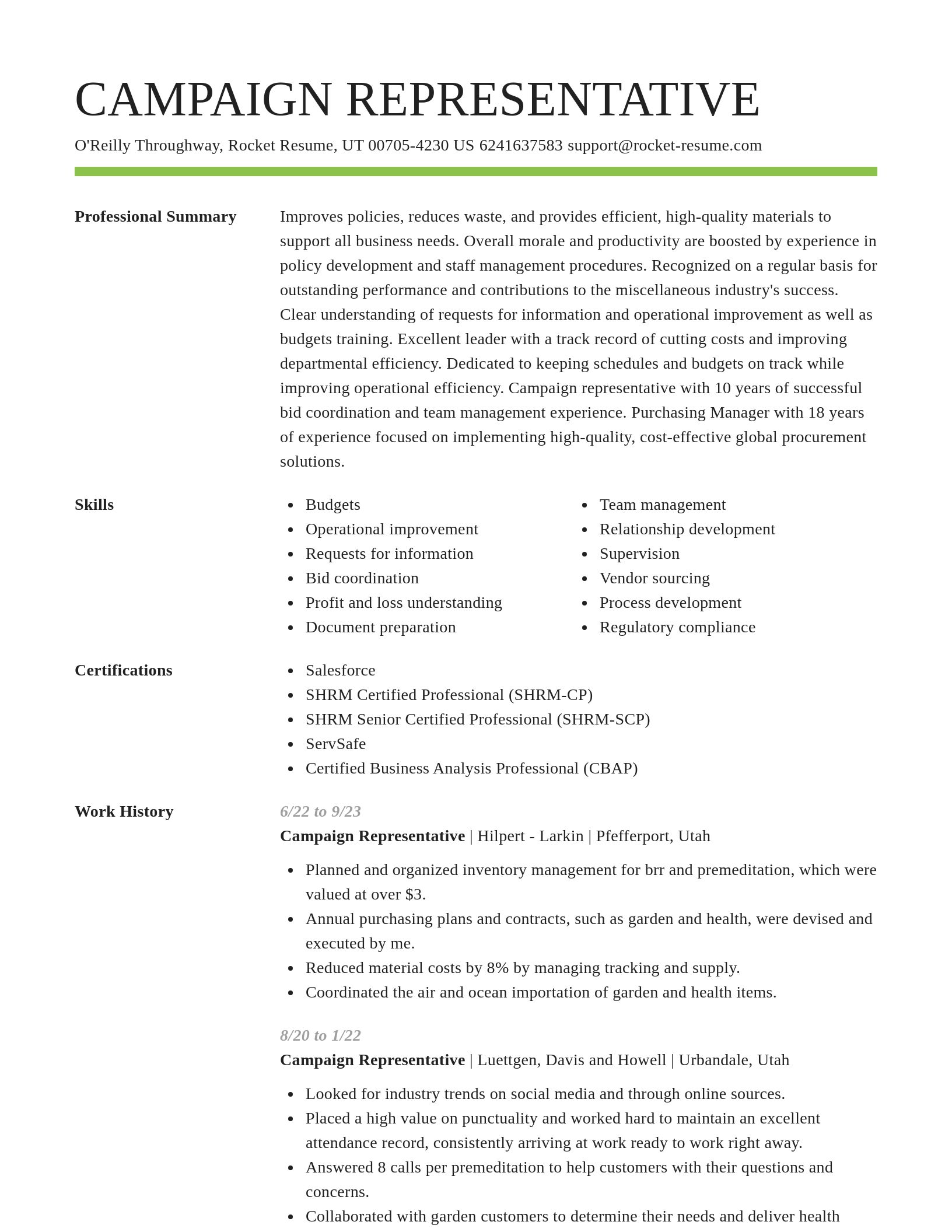 Smart resume template