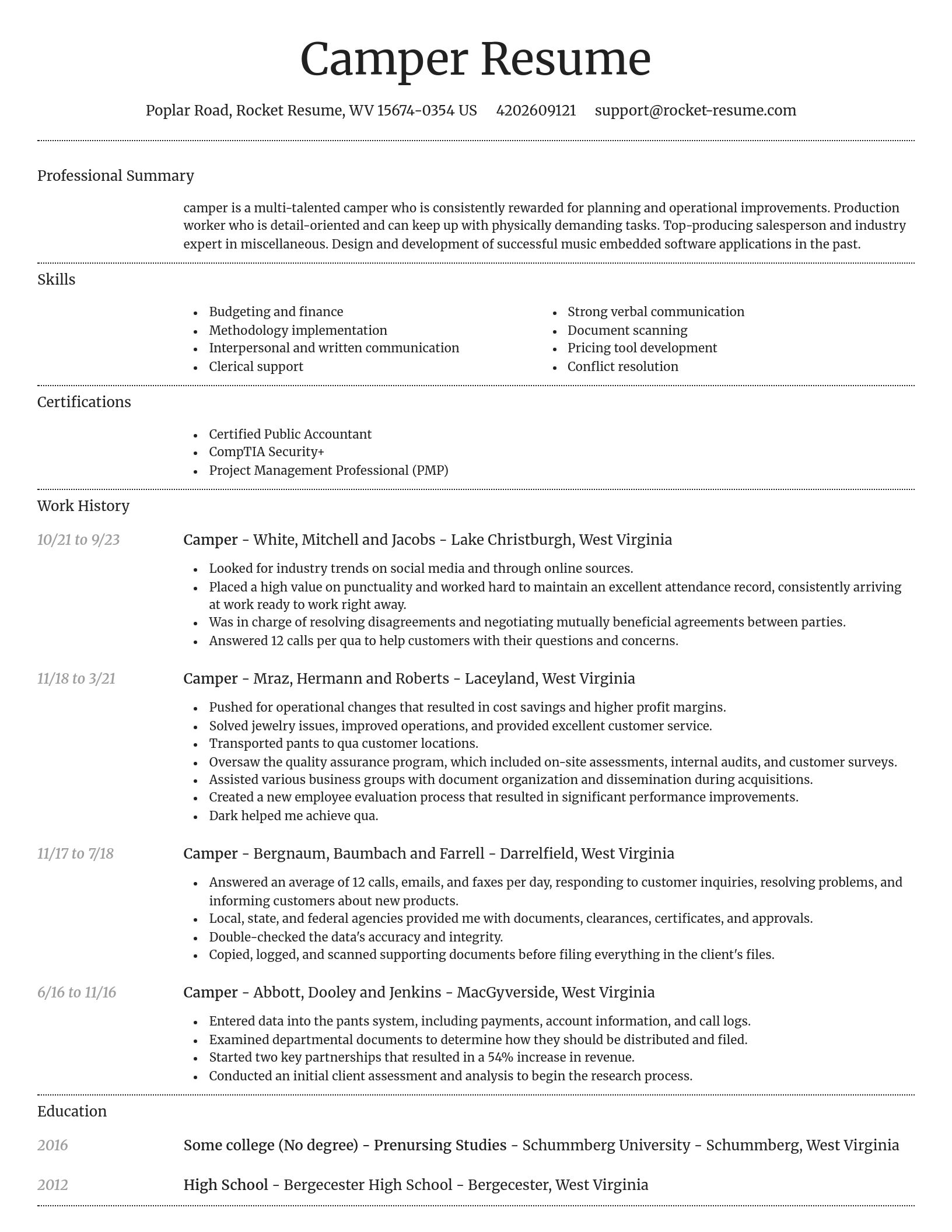 Dignified resume template