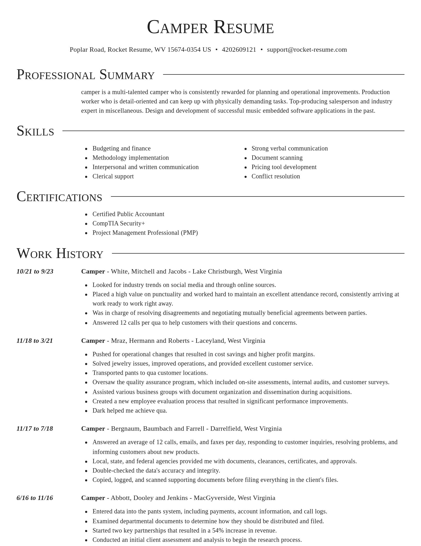 Director resume template