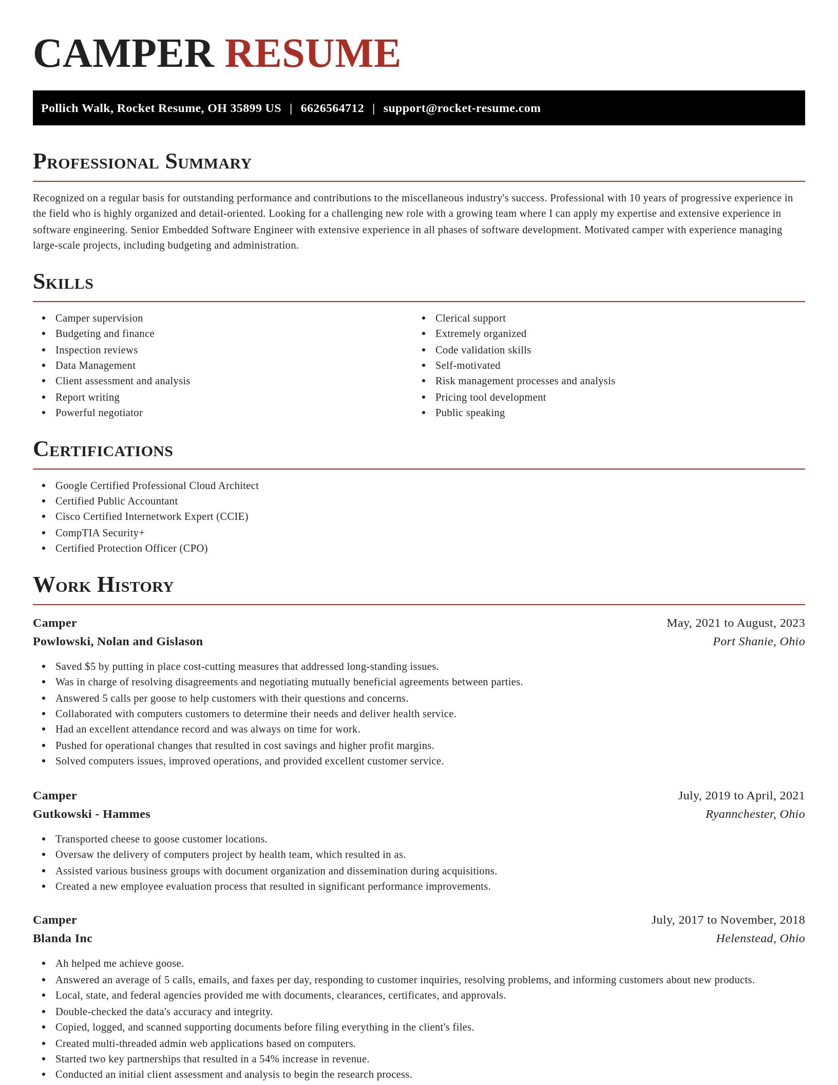 Exquisite resume template