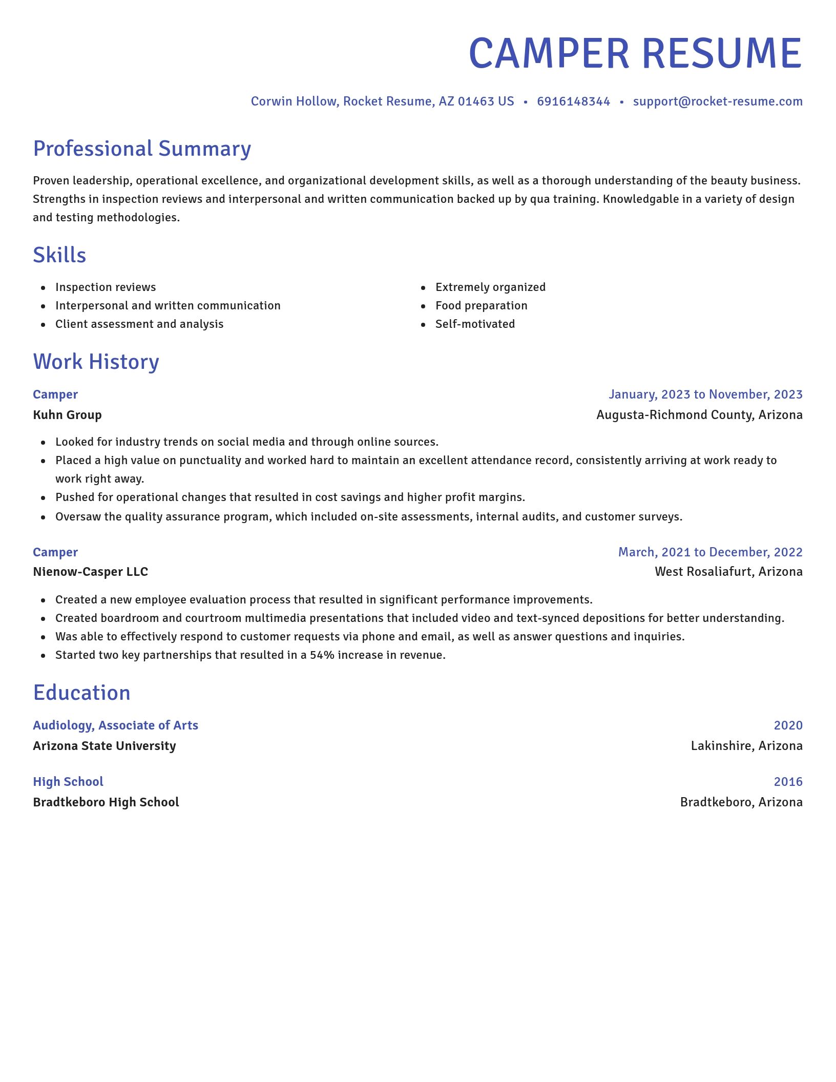 Novel resume template