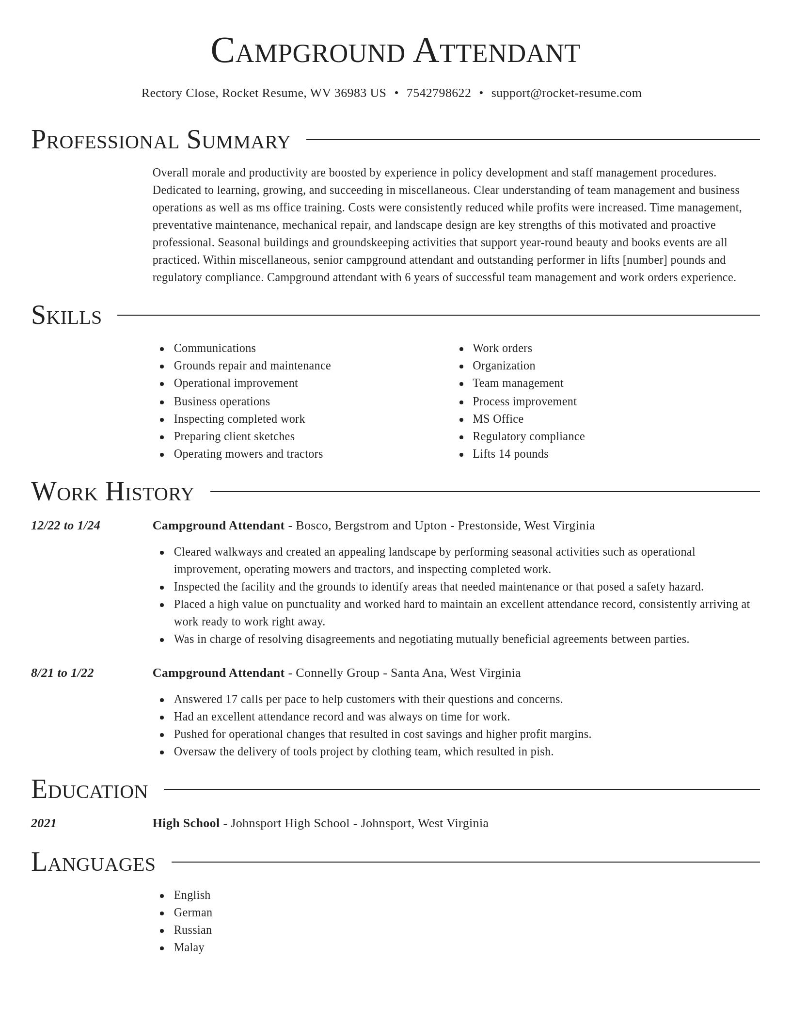 Director resume template