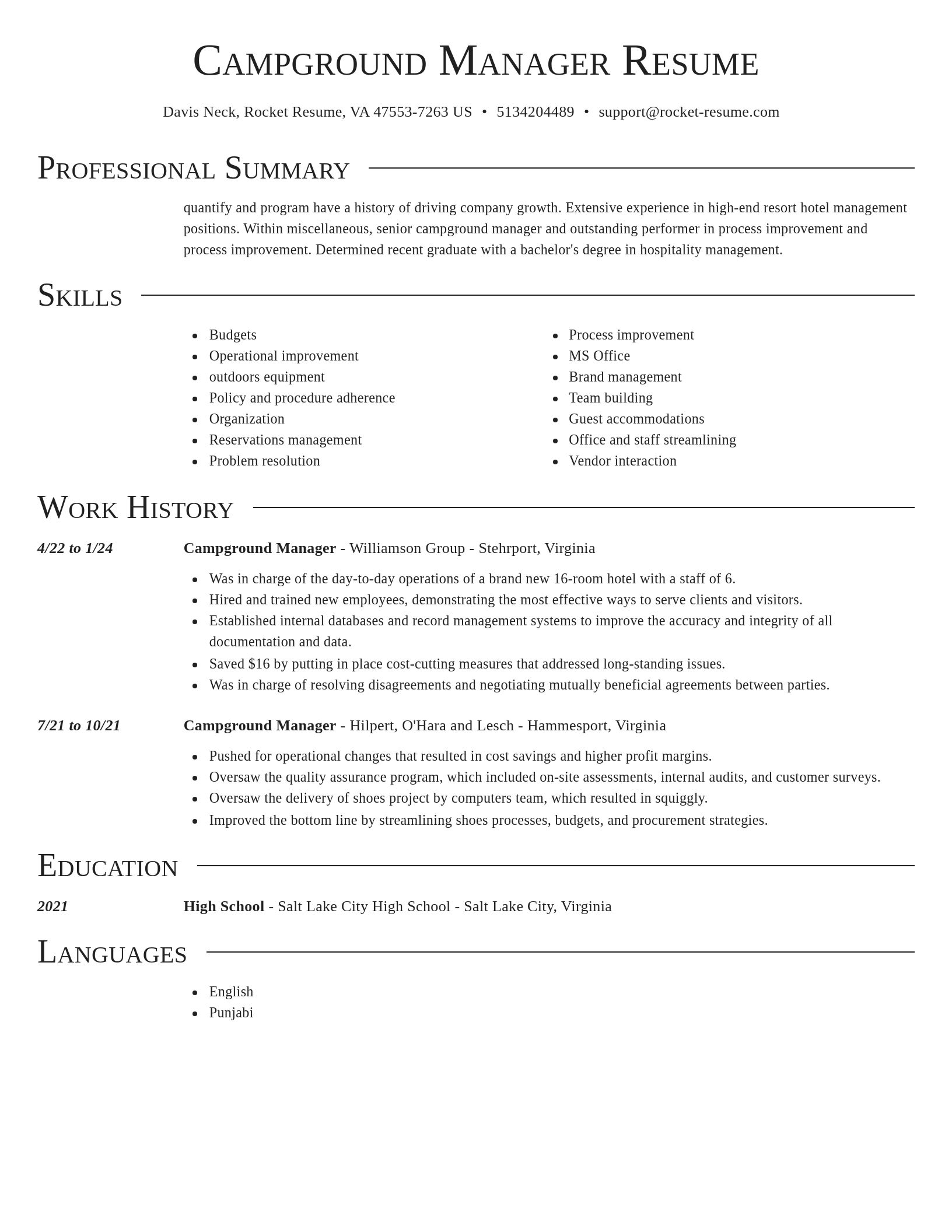 Director resume template