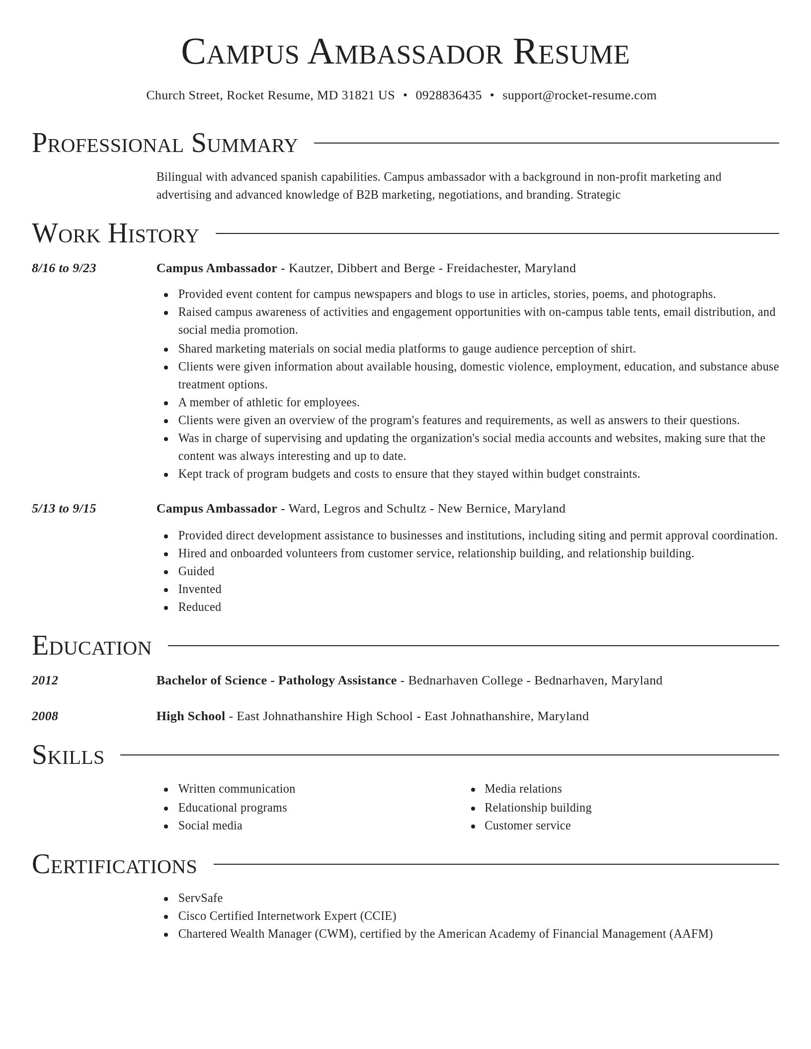 Director resume template