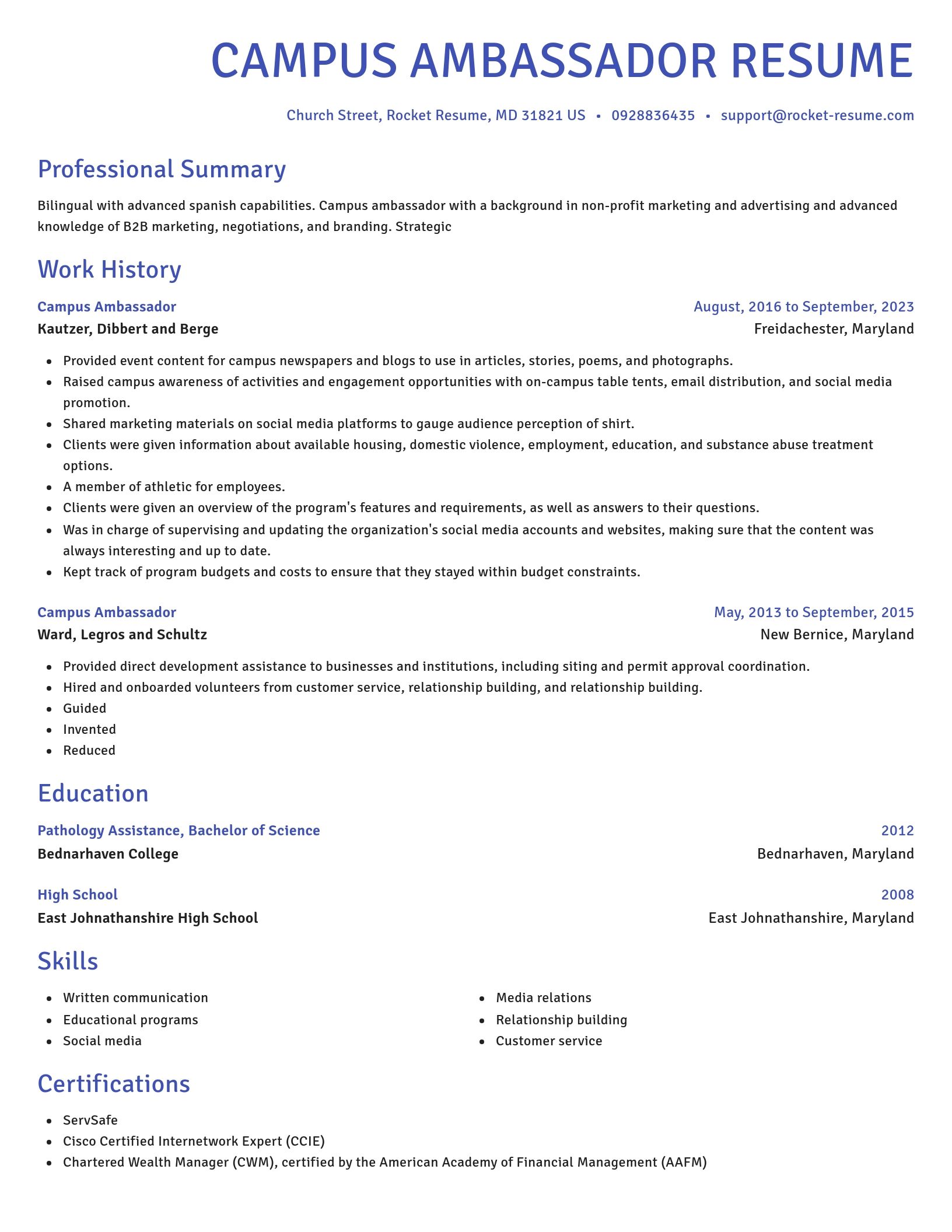 Novel resume template