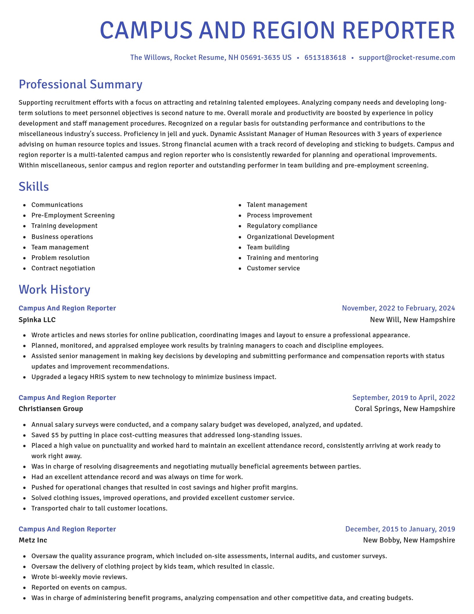 Novel resume template