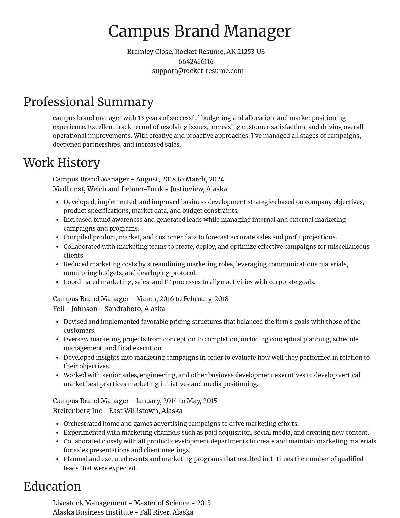 Focal Point resume template