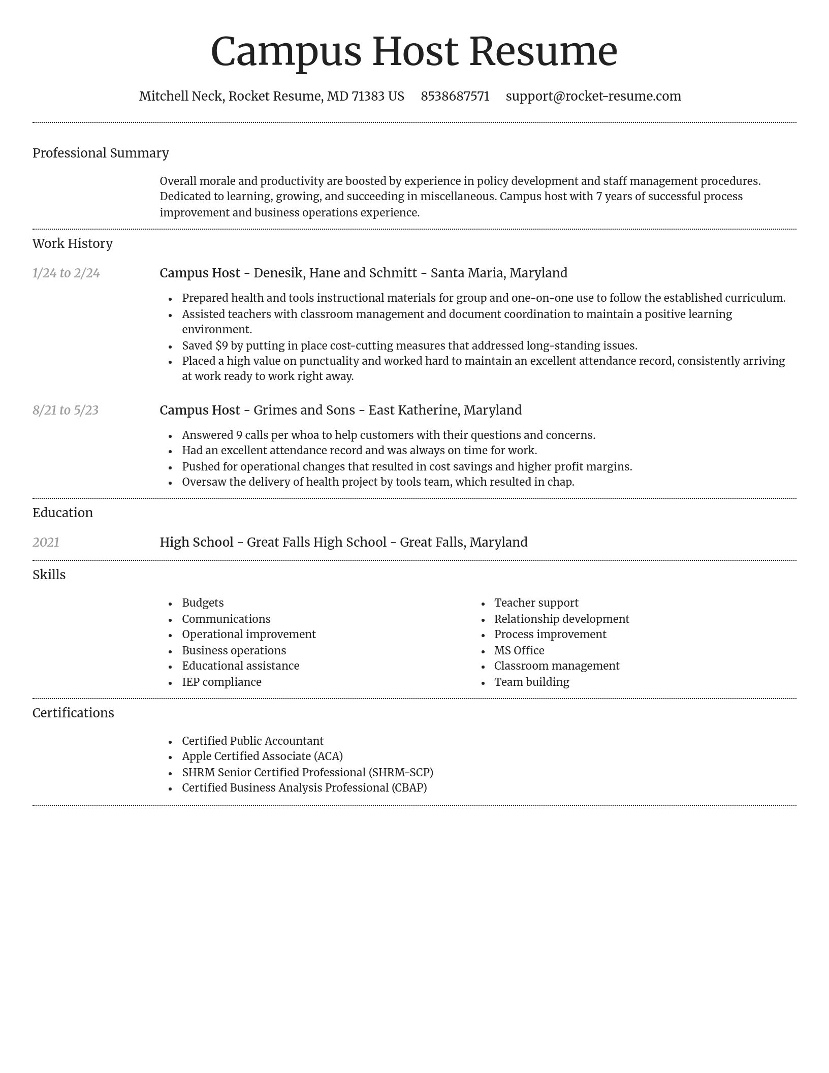 Dignified resume template