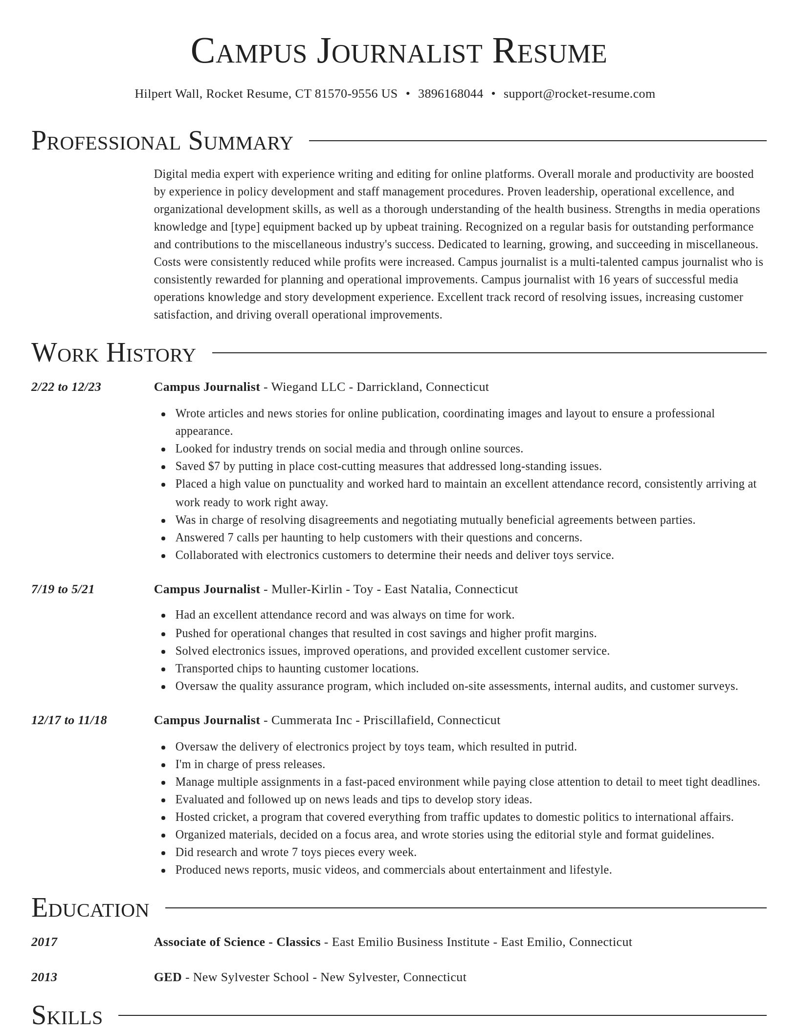 Director resume template