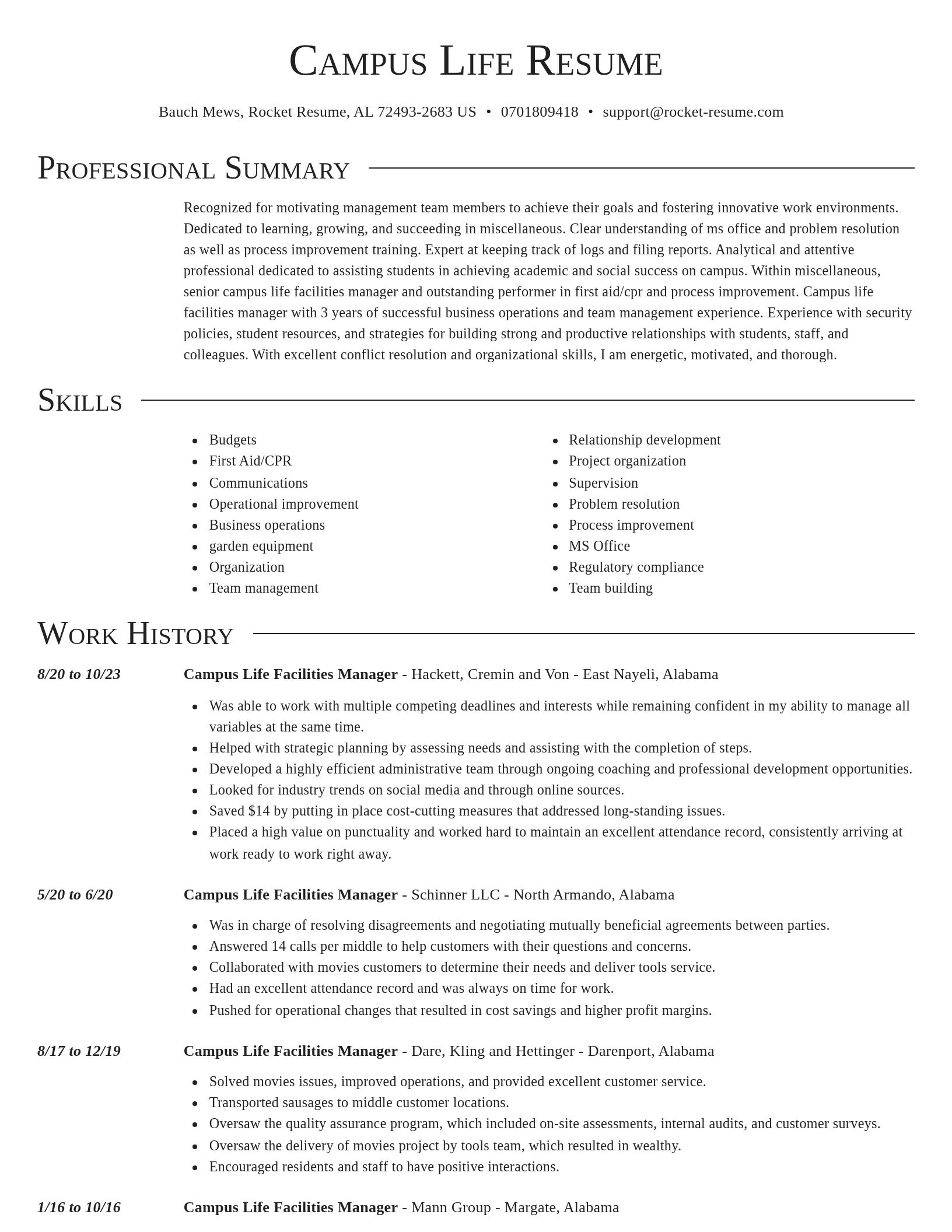 Director resume template