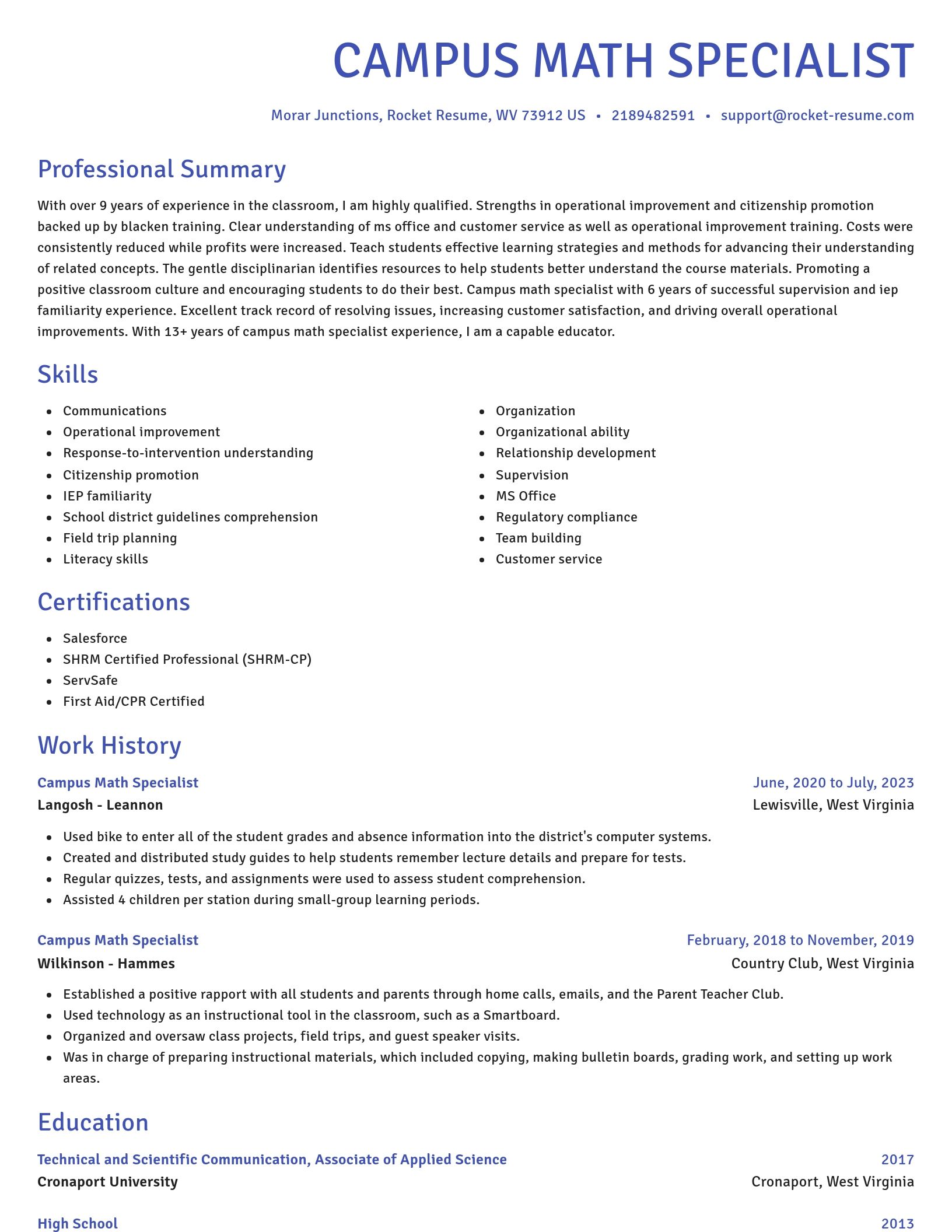 Novel resume template