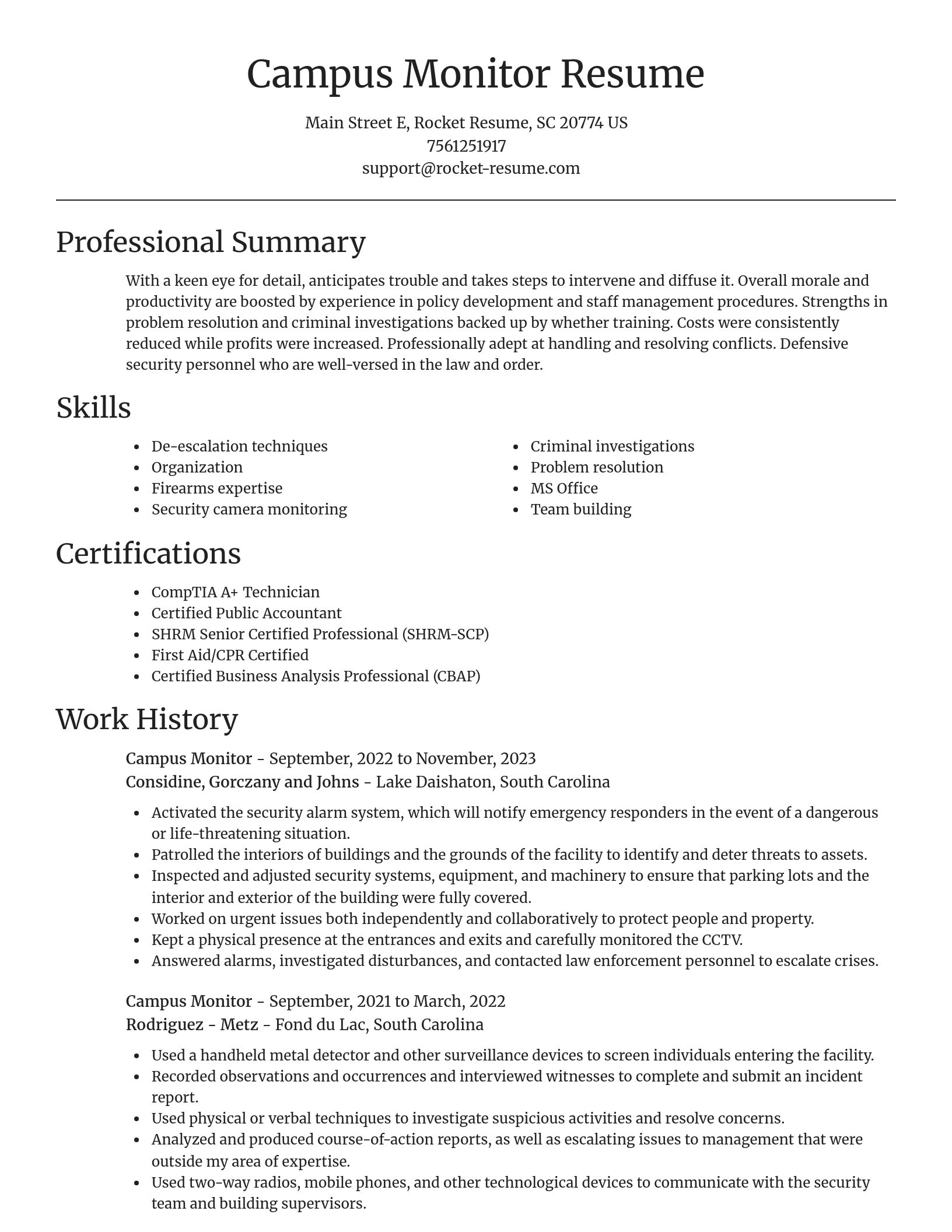 Focal Point resume template