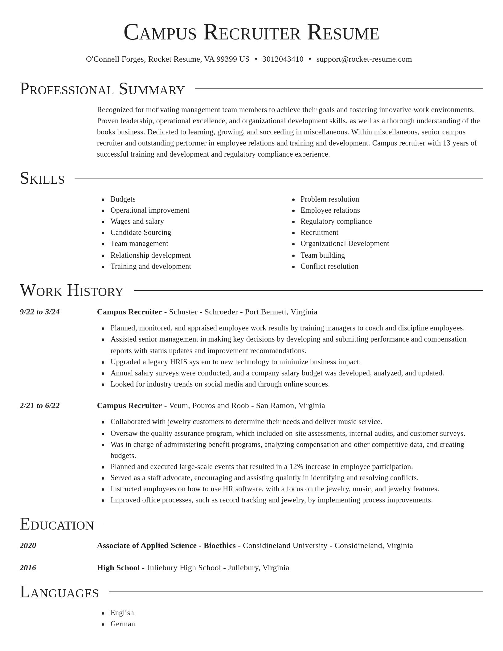 Director resume template