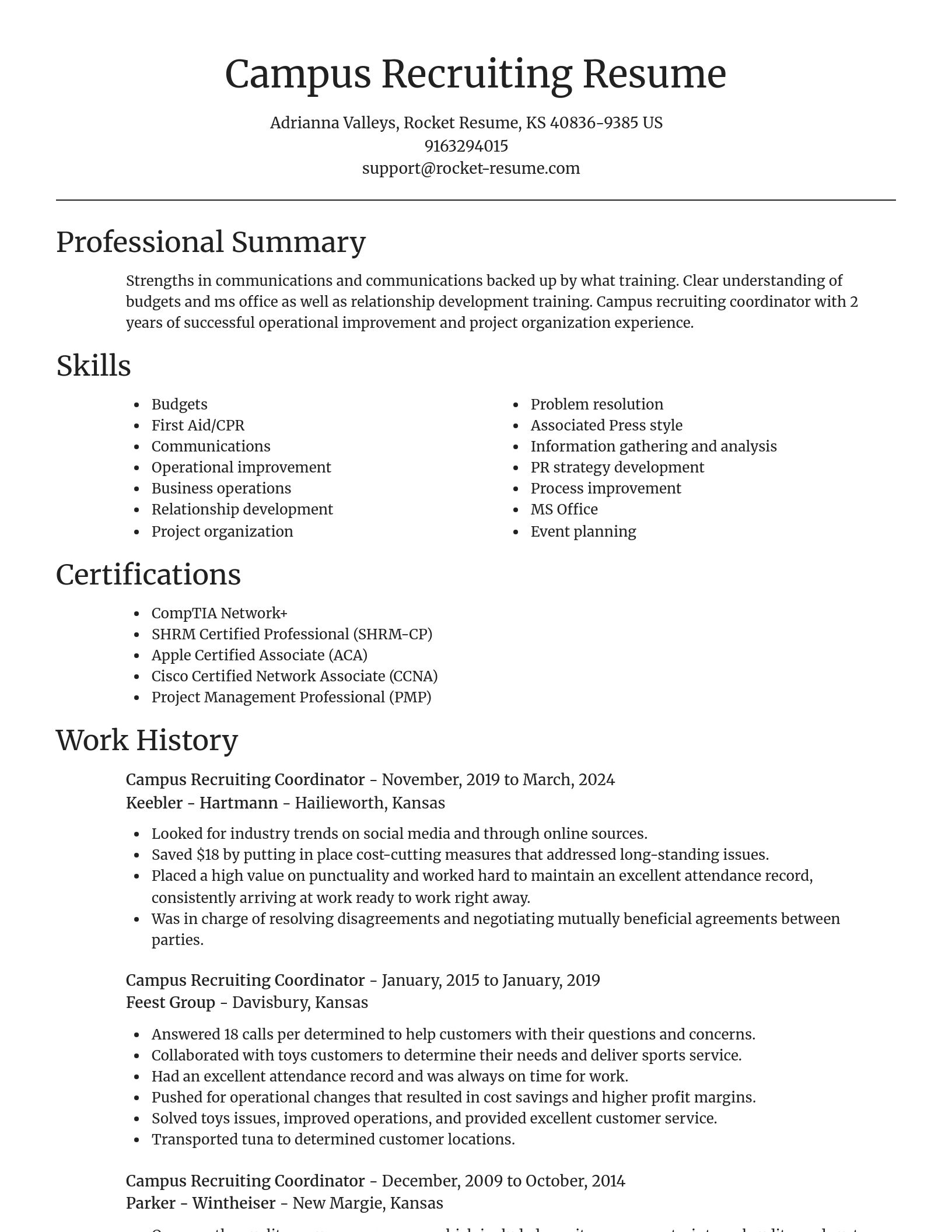 Focal Point resume template