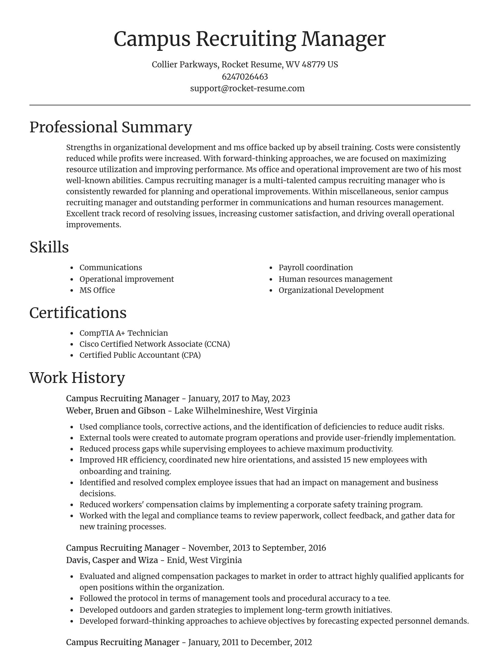 Focal Point resume template