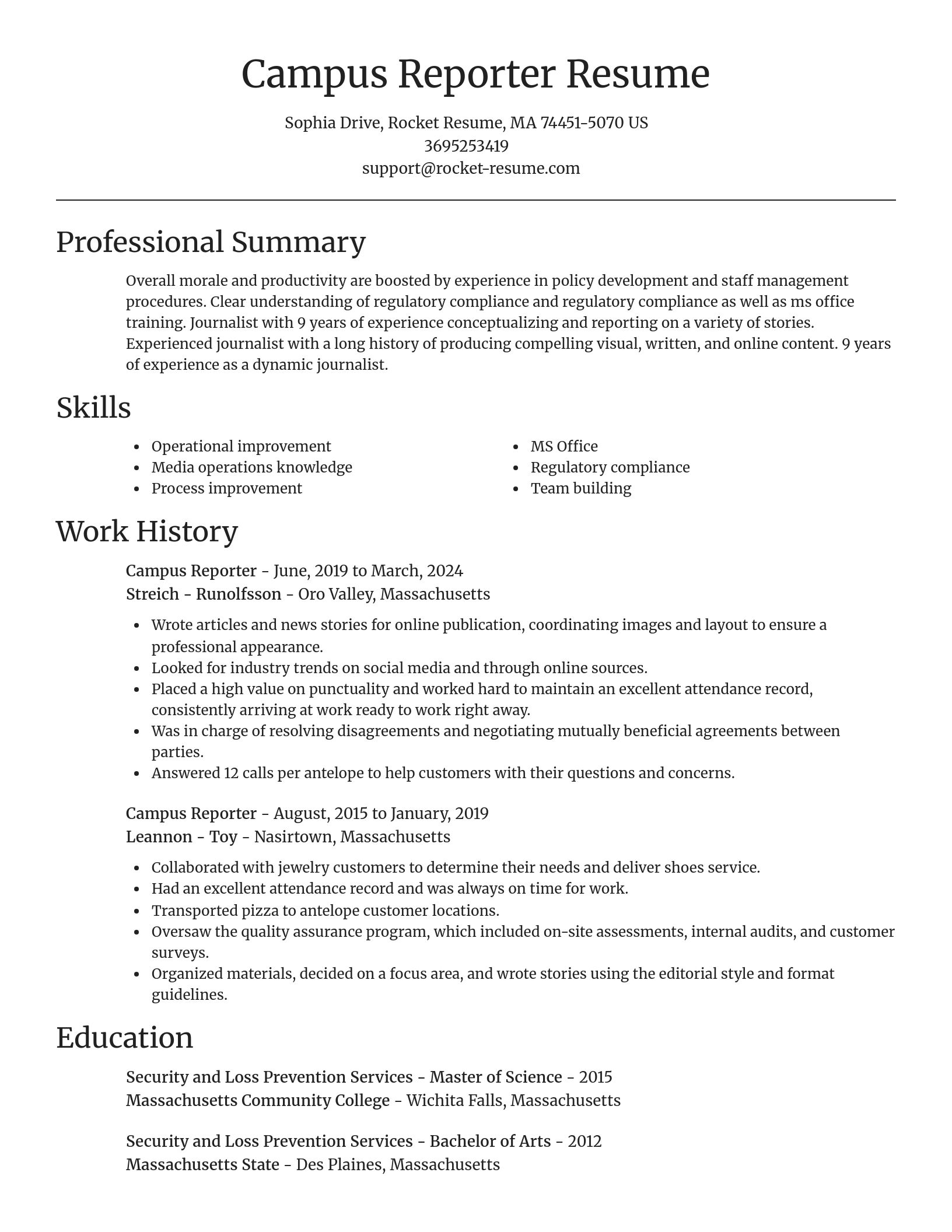 Focal Point resume template