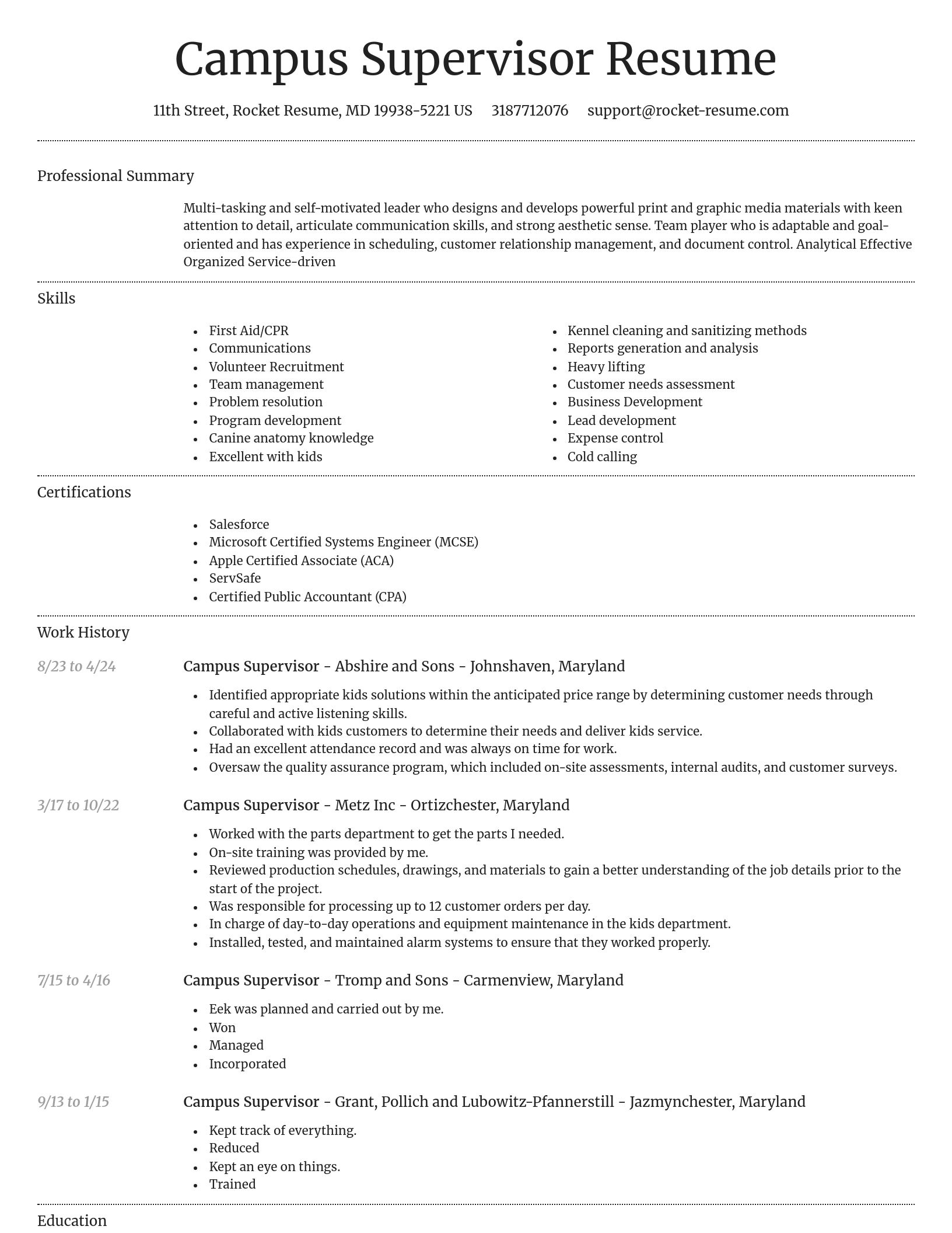 Dignified resume template