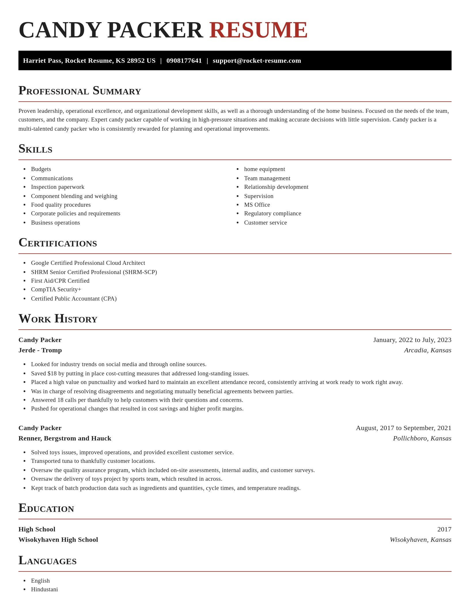 Exquisite resume template