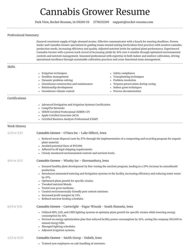 Dignified resume template
