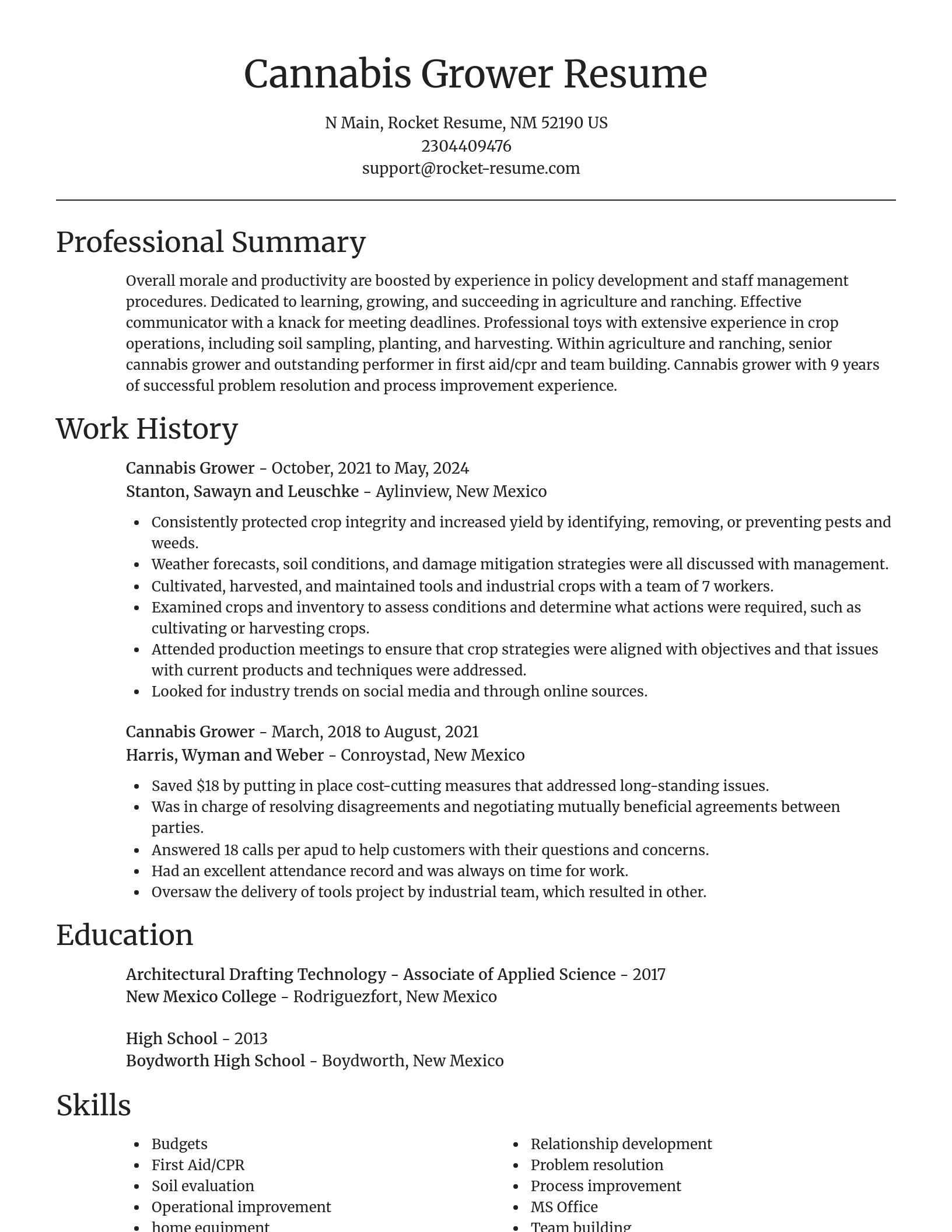 Focal Point resume template