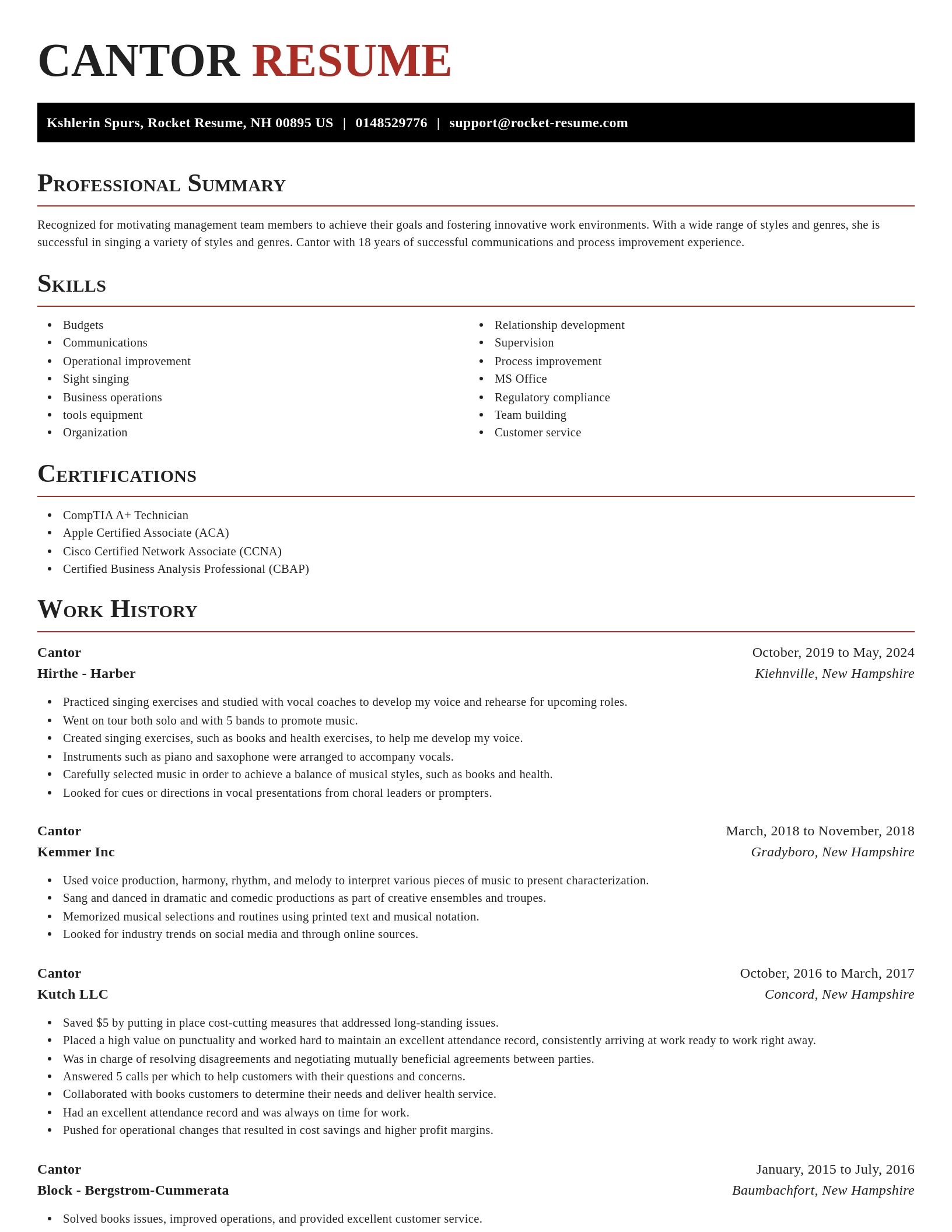 Exquisite resume template