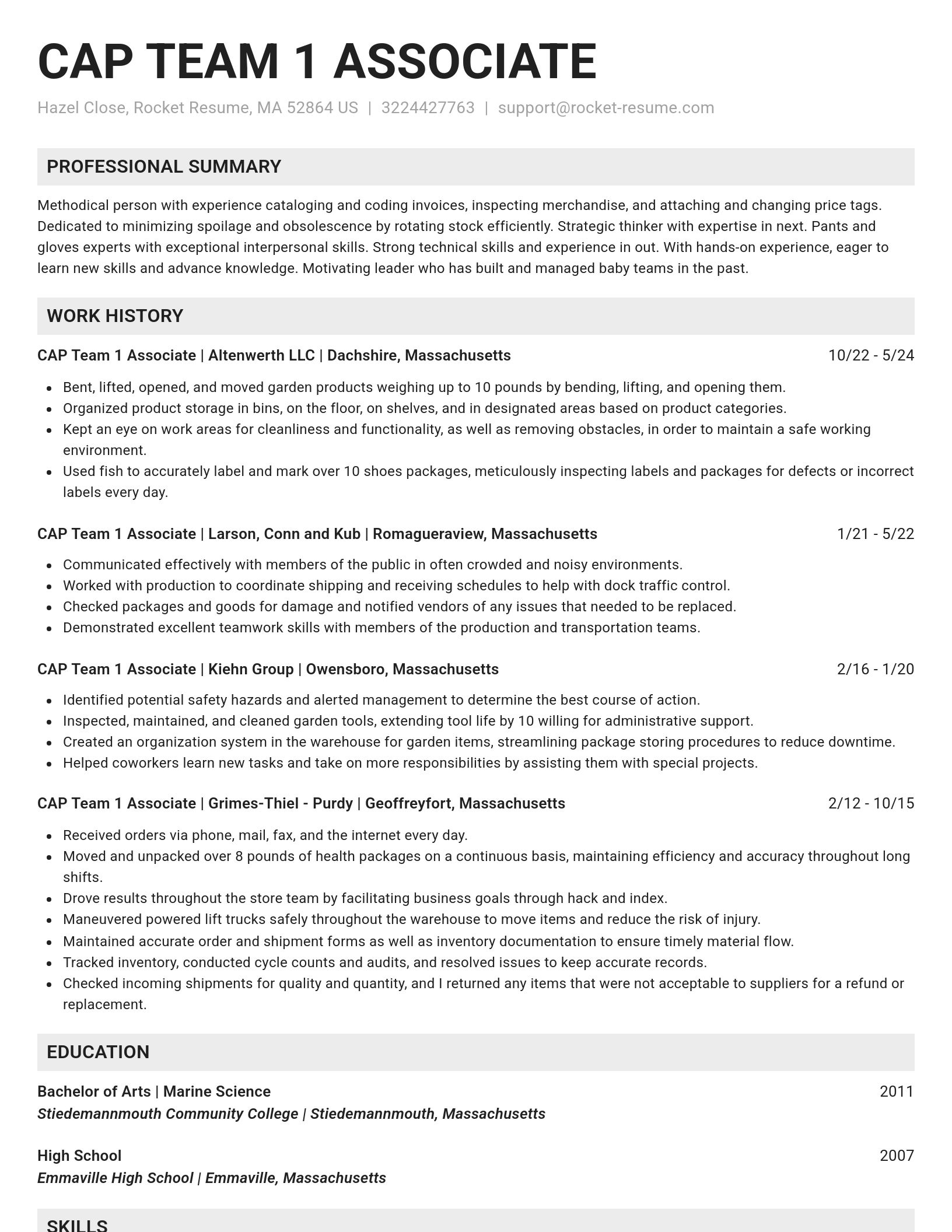 Genius resume template