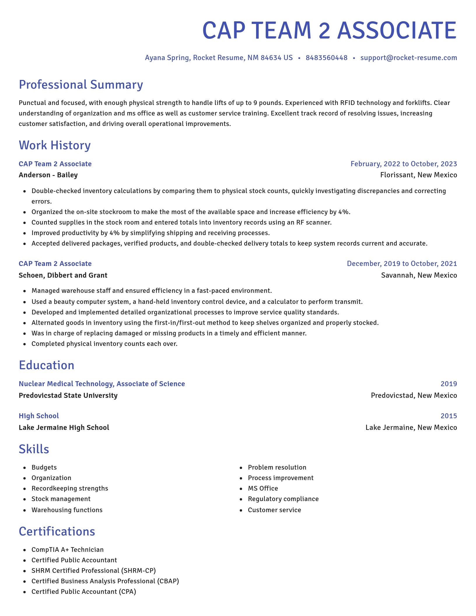 Novel resume template