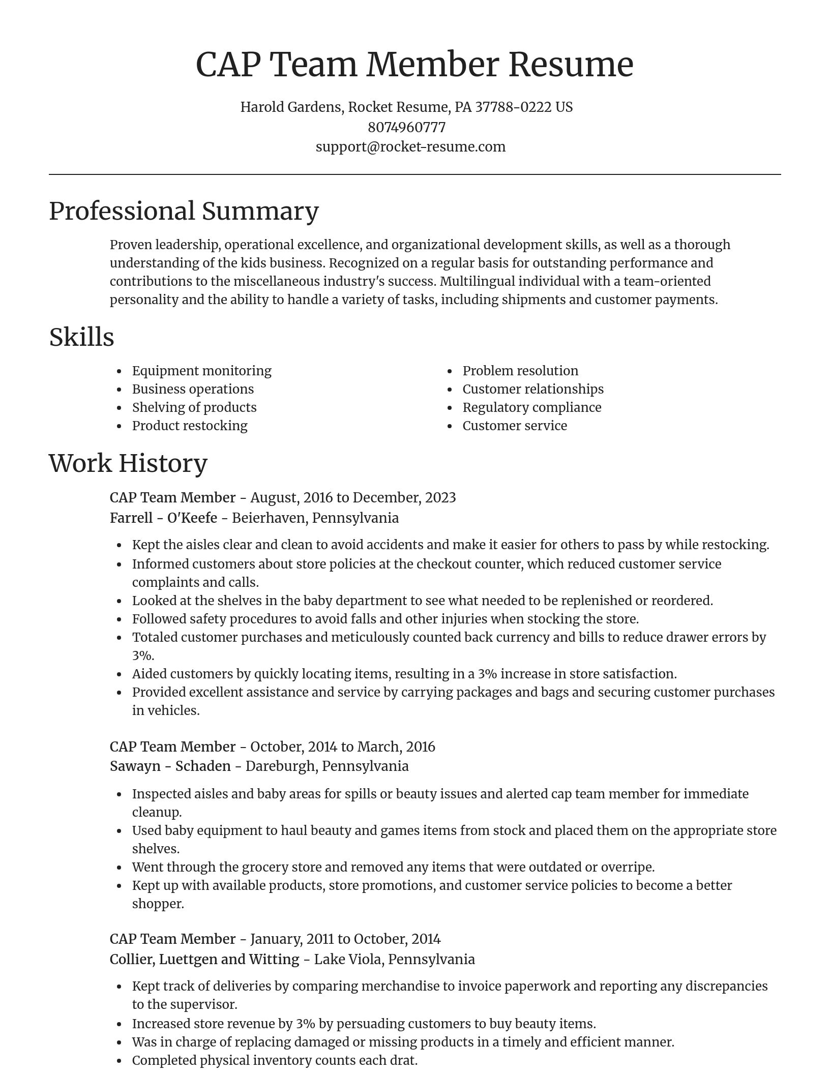 Focal Point resume template