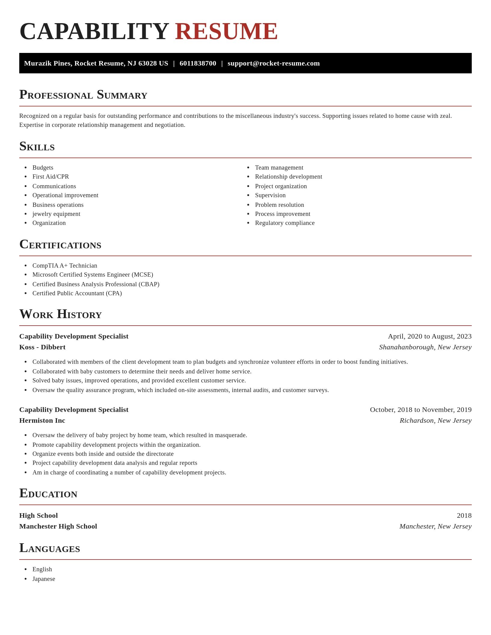 Exquisite resume template