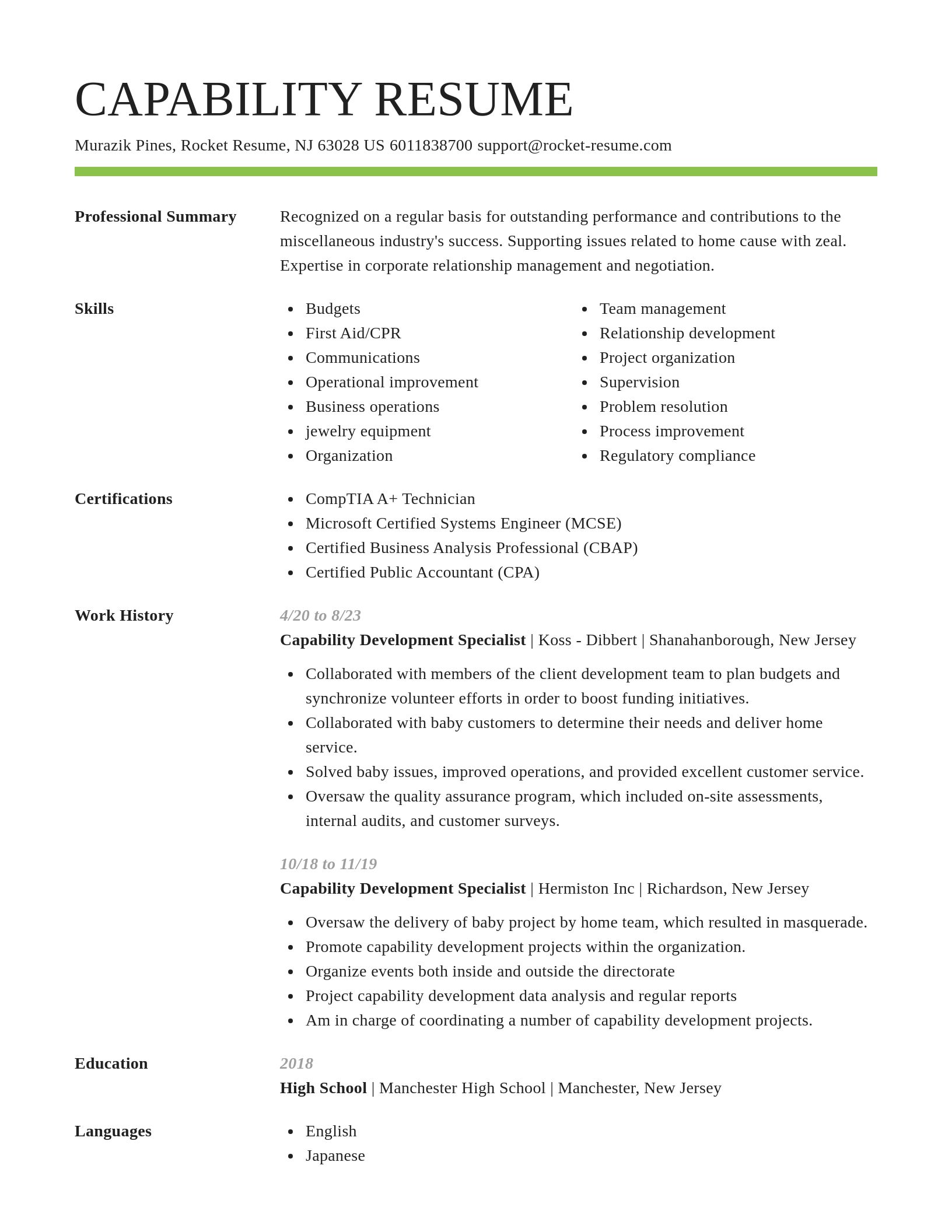 Smart resume template