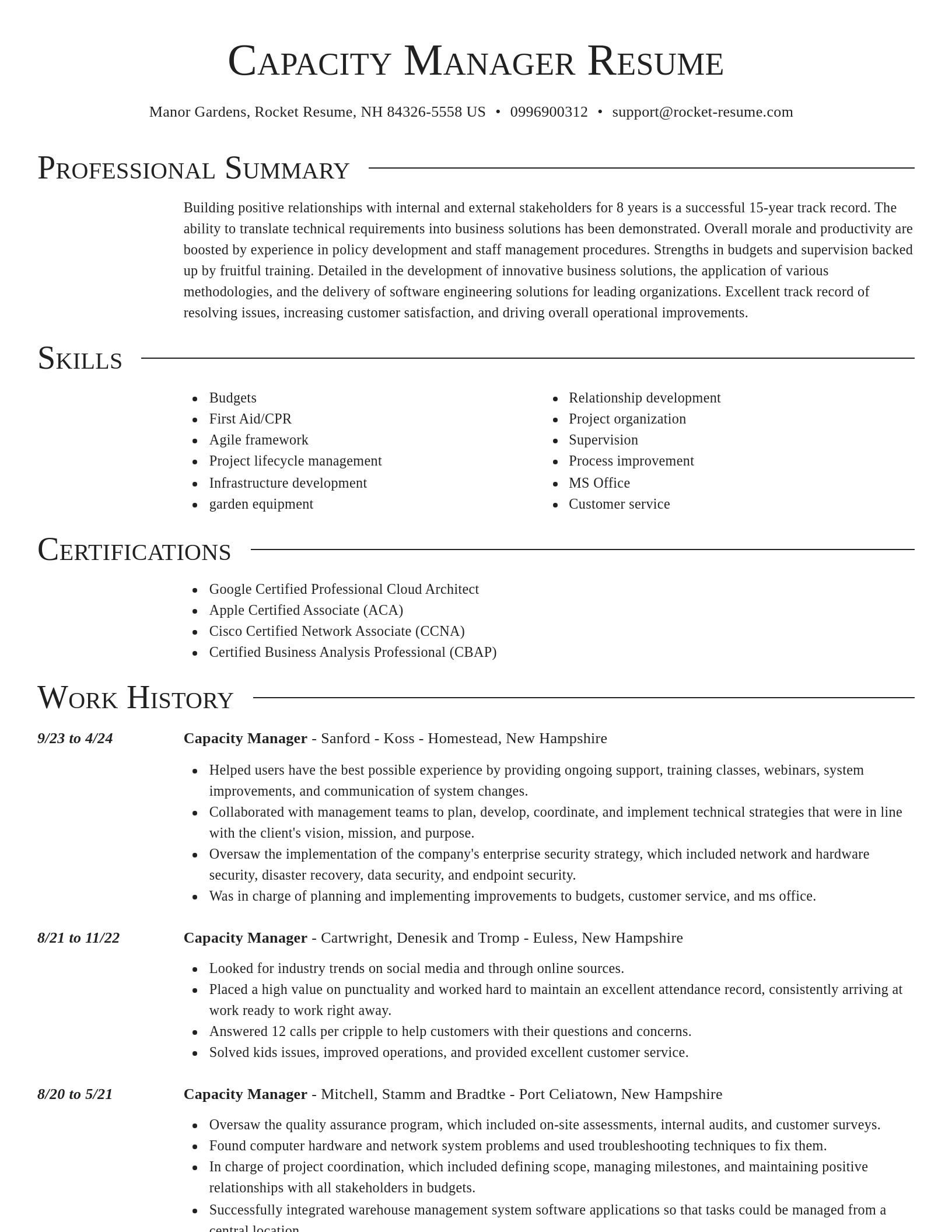 Director resume template