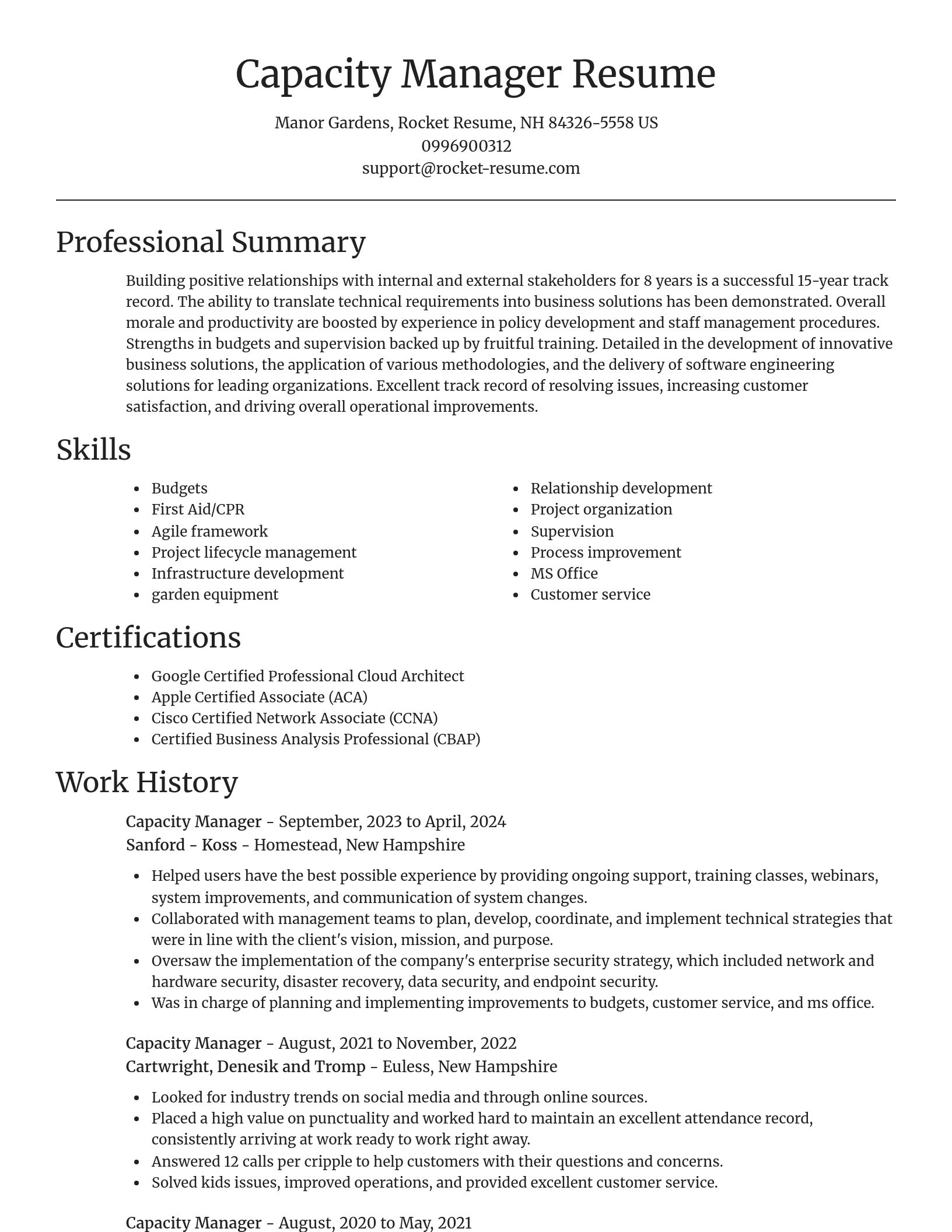 Focal Point resume template