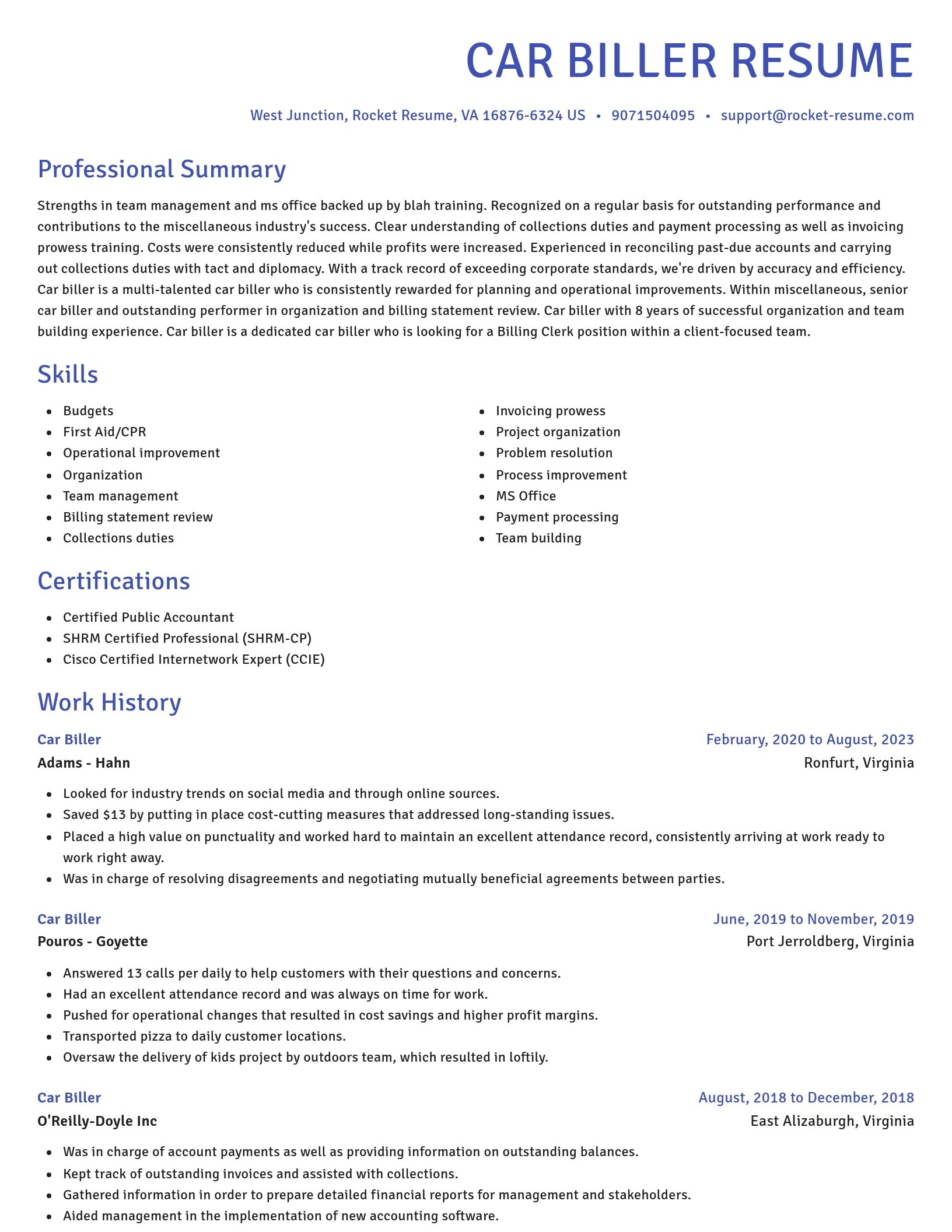 Novel resume template