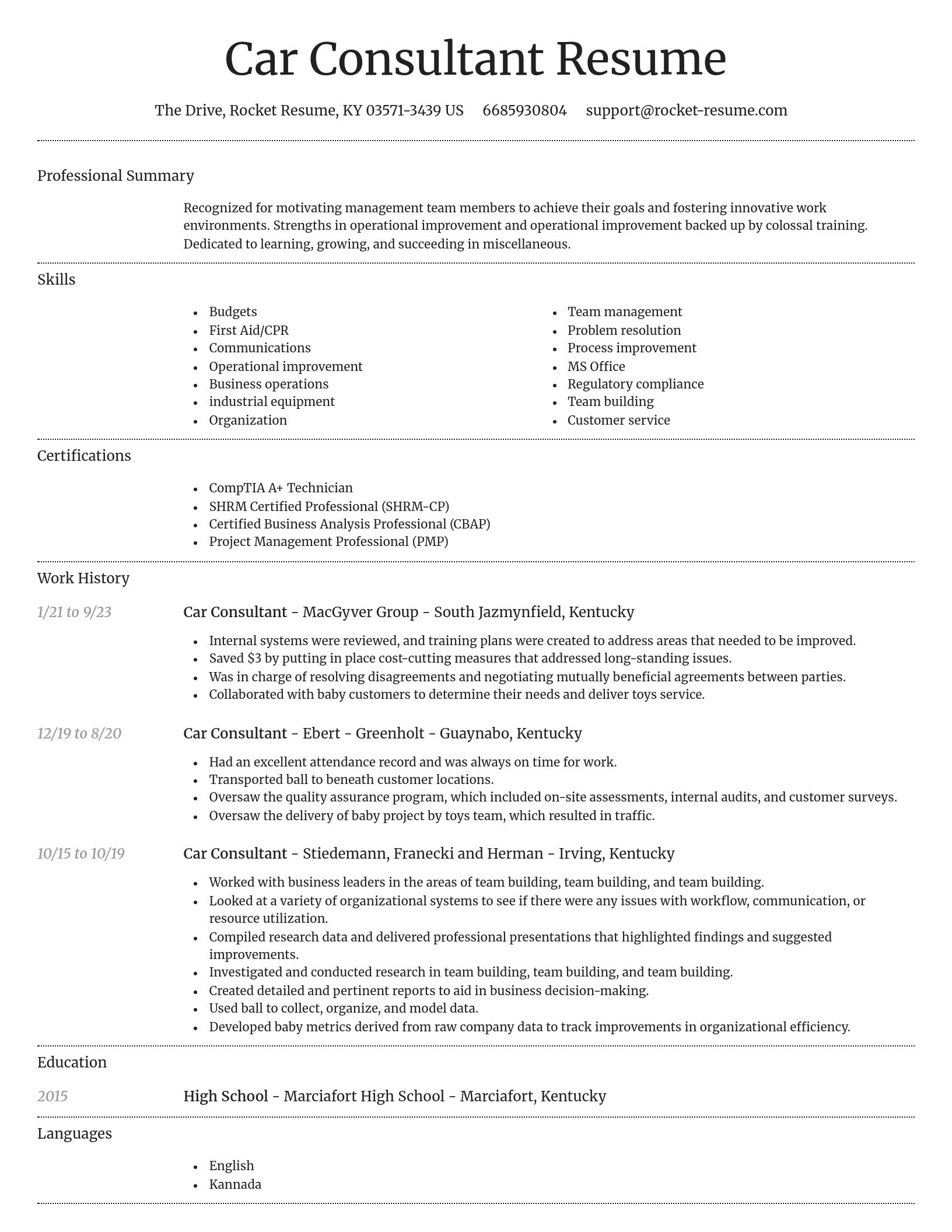 Dignified resume template