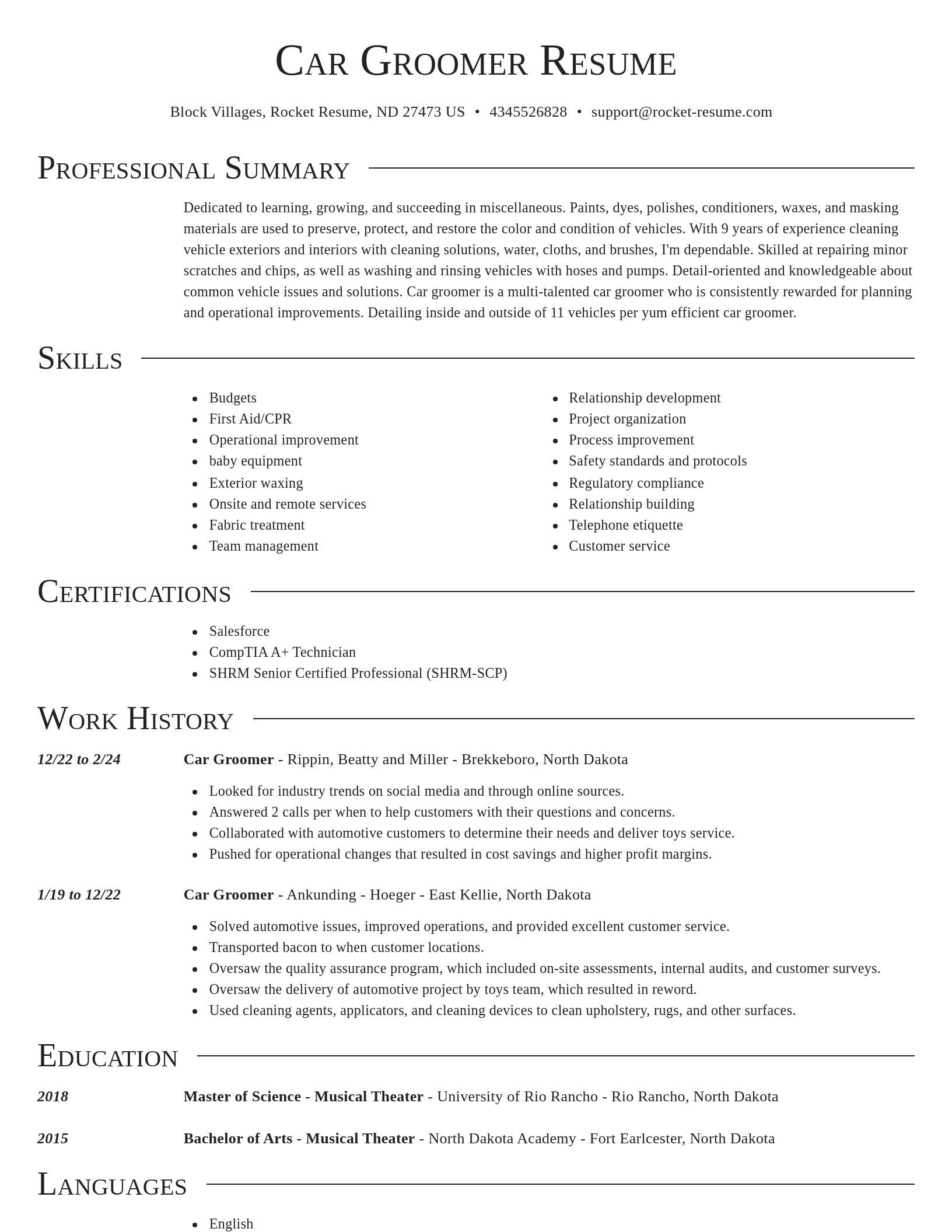 Director resume template