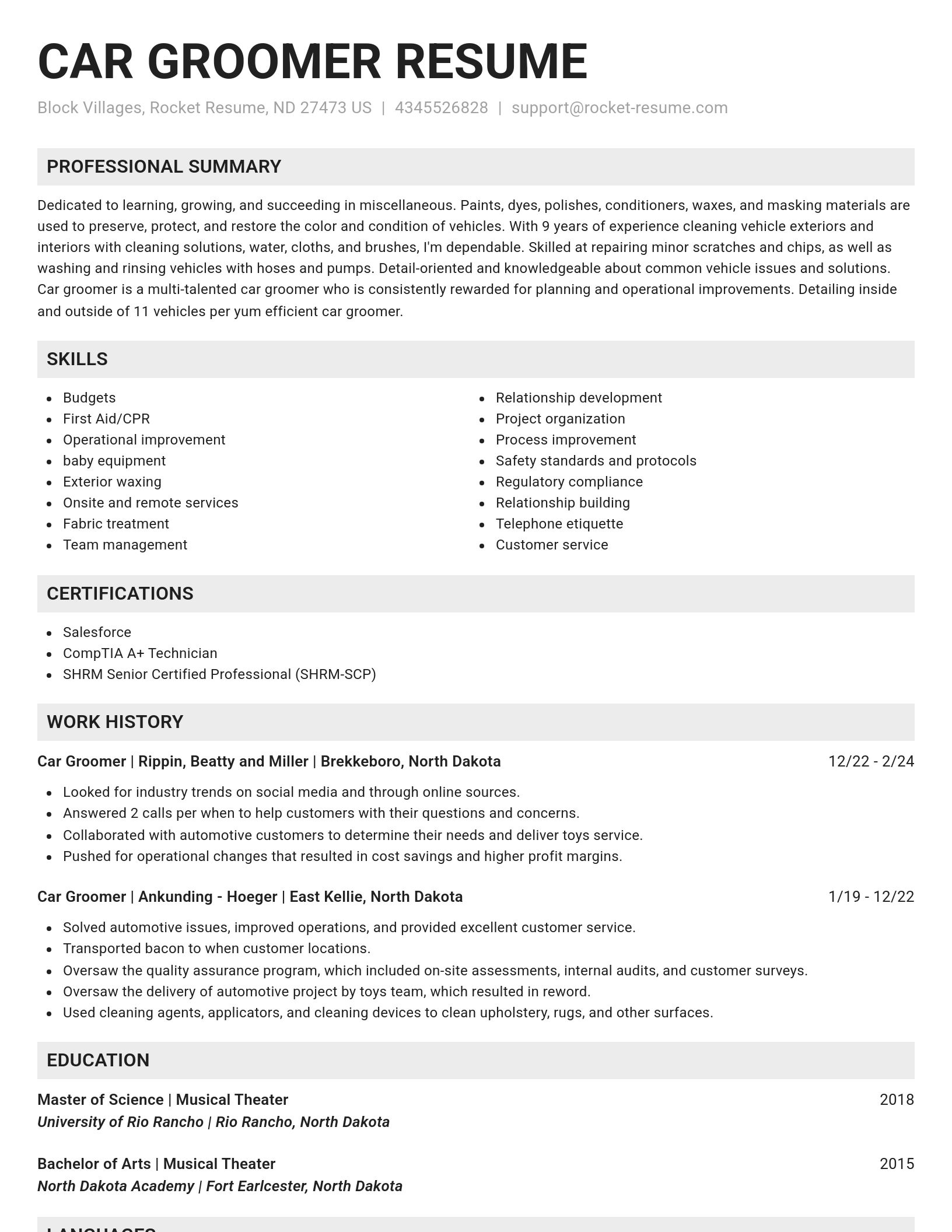 Genius resume template