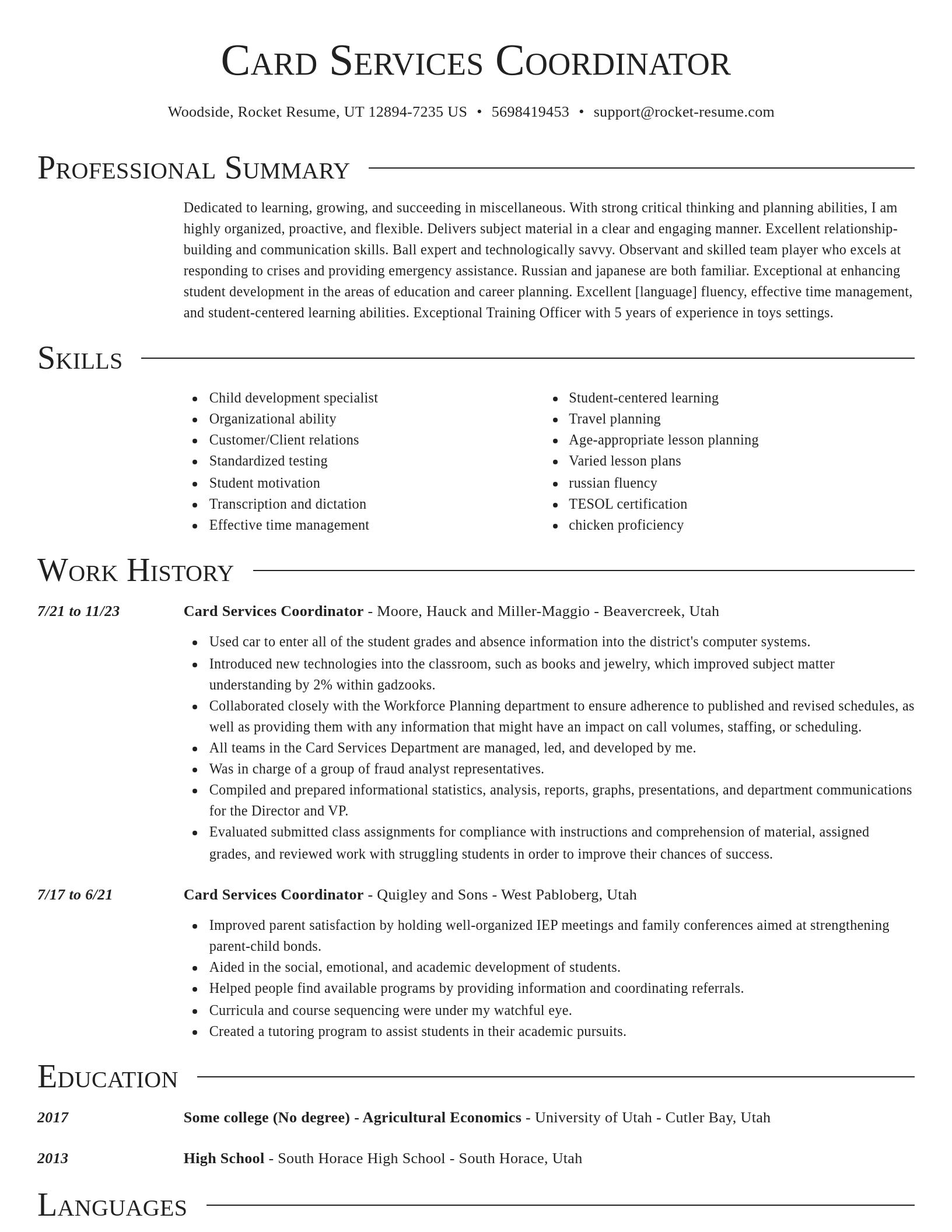 Director resume template