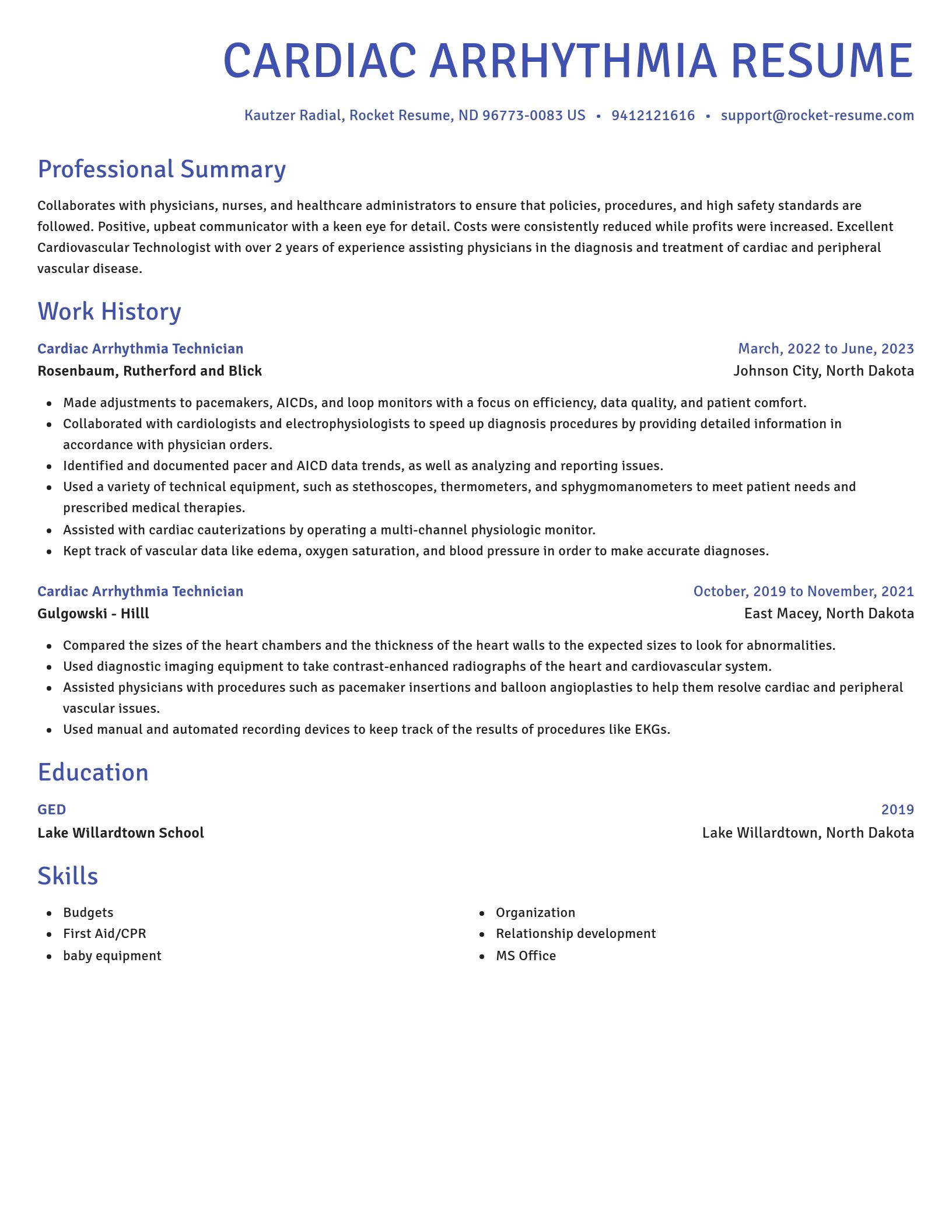 Novel resume template