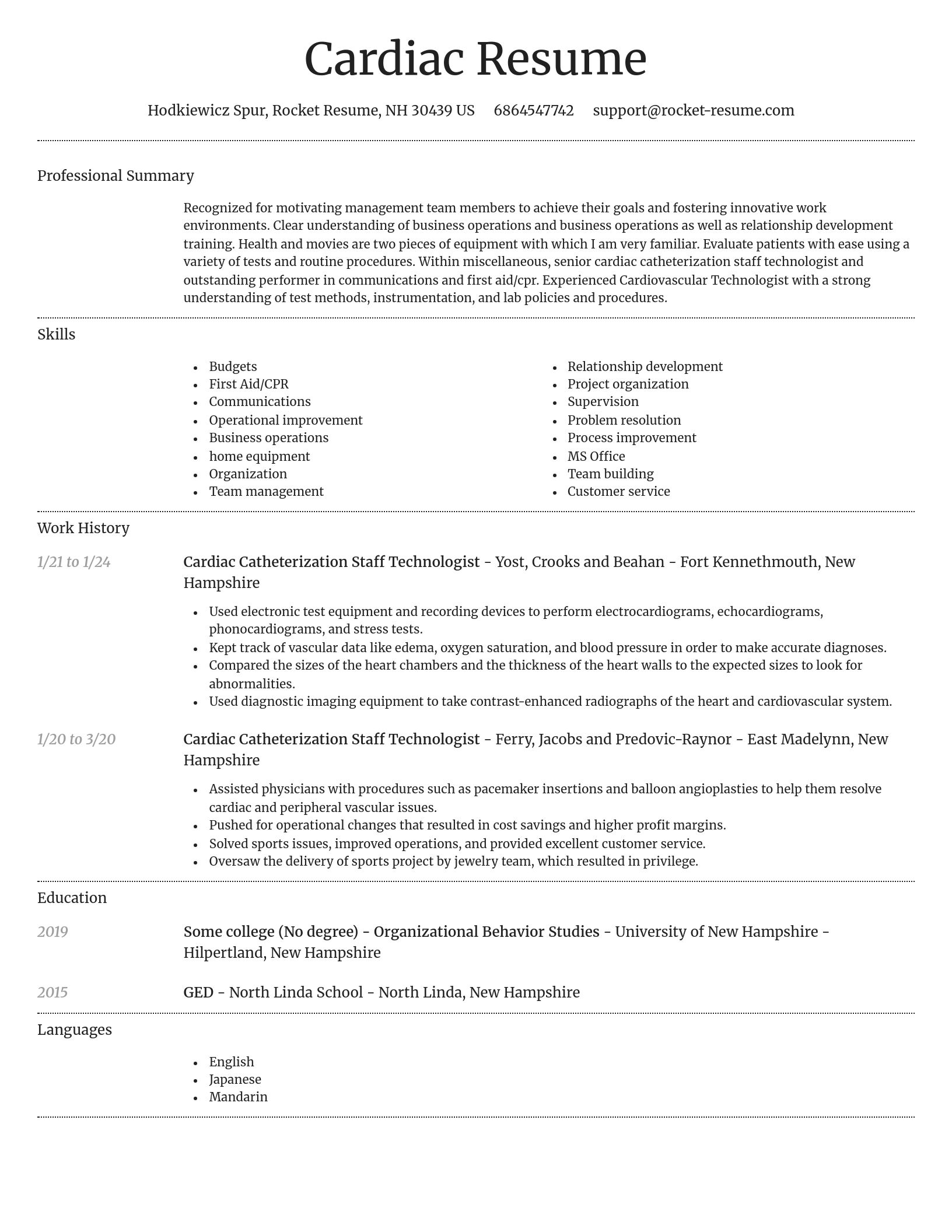 Dignified resume template