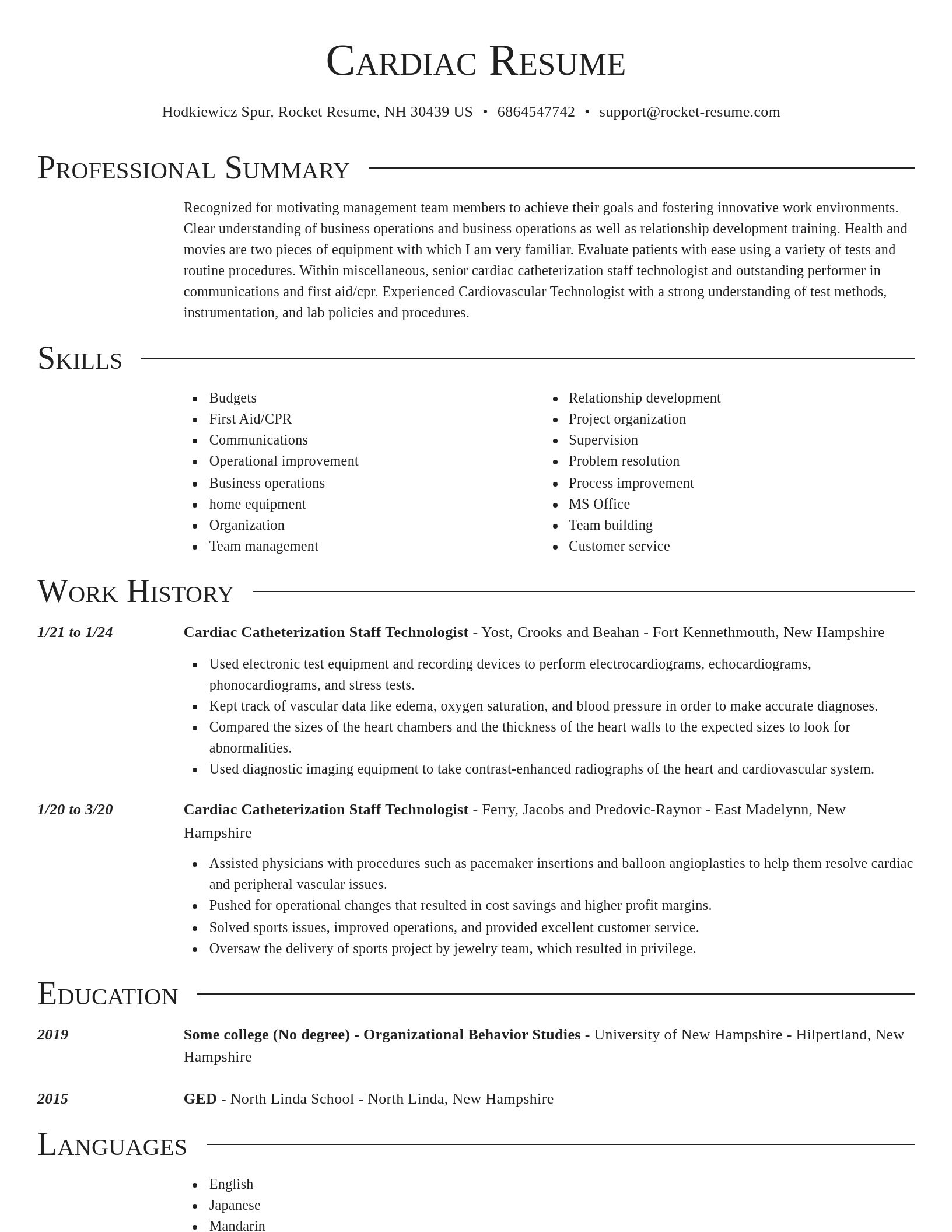 Director resume template