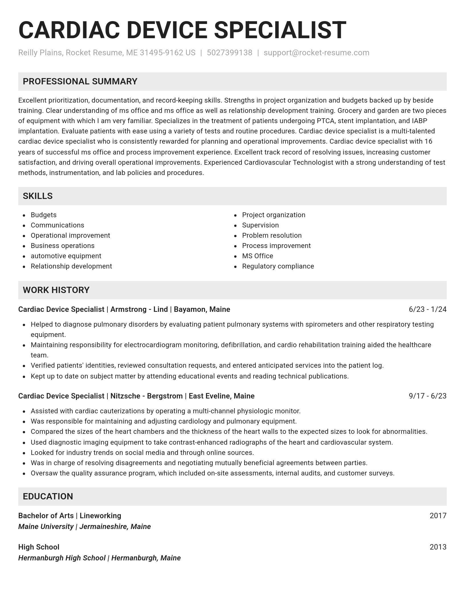 Genius resume template