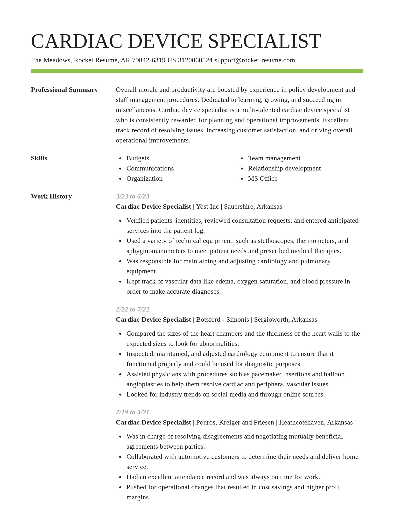 Smart resume template