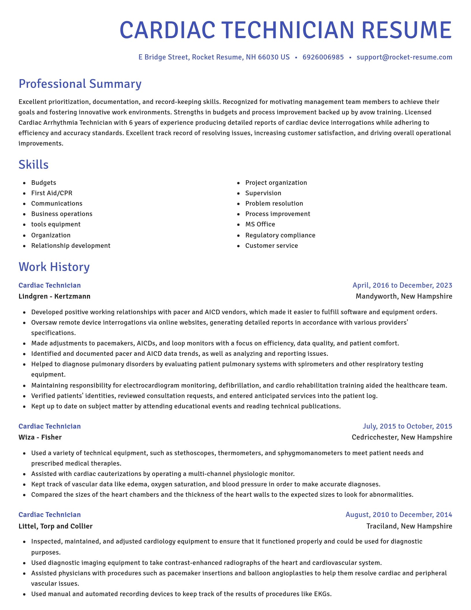 Novel resume template