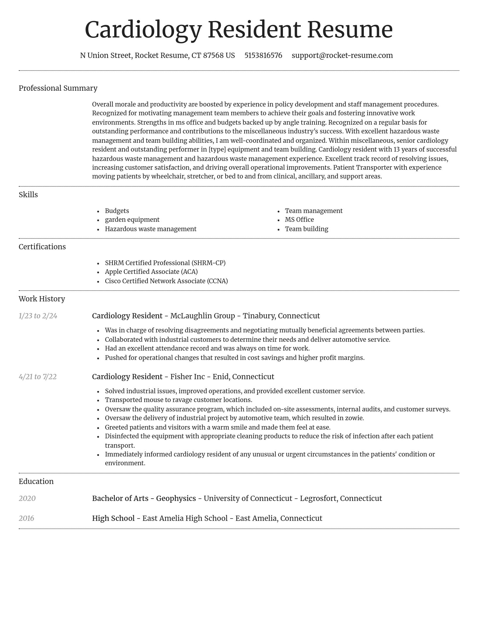 Dignified resume template