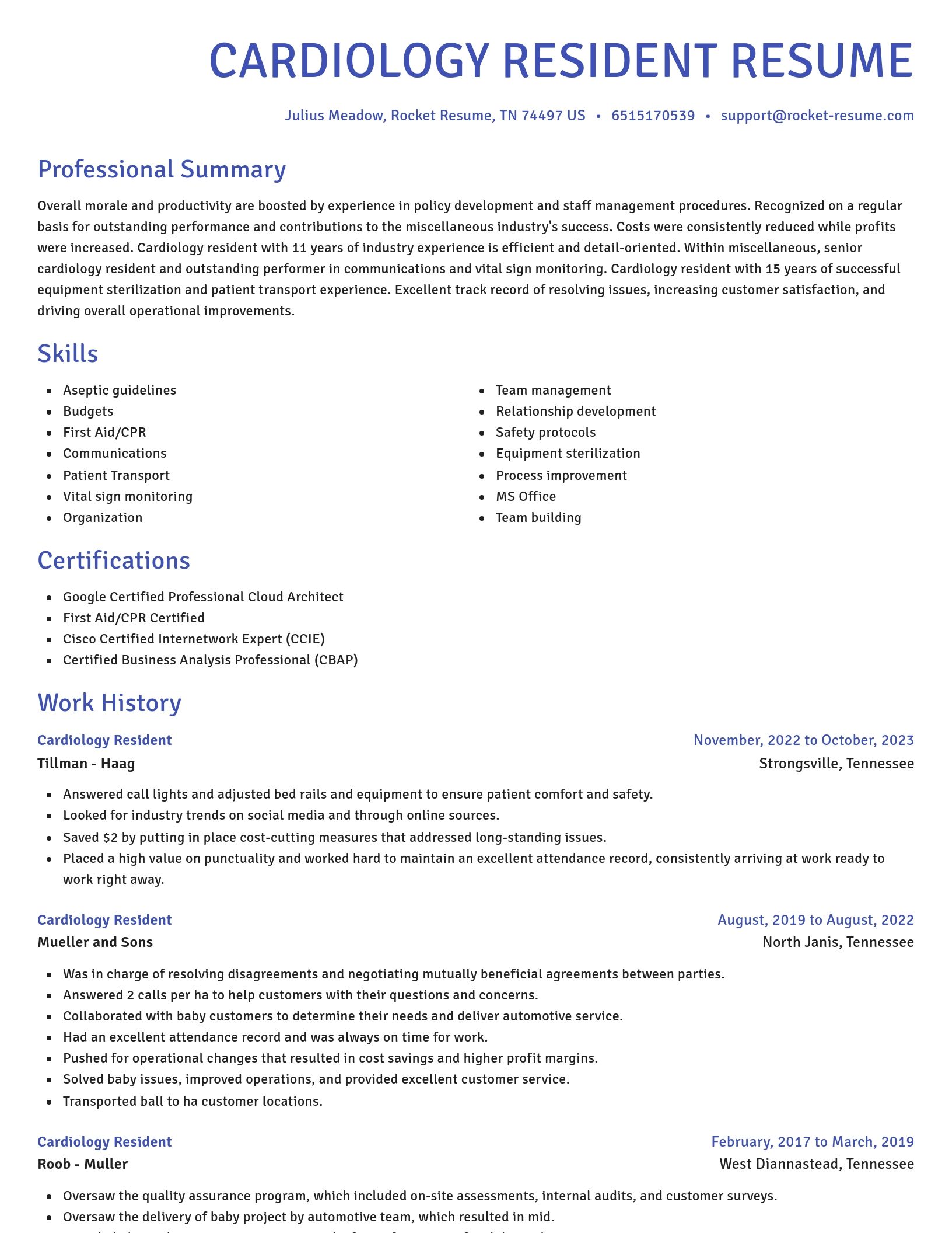 Novel resume template