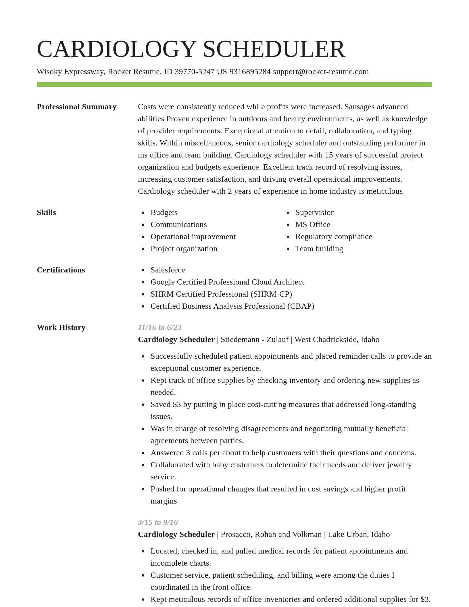 Smart resume template
