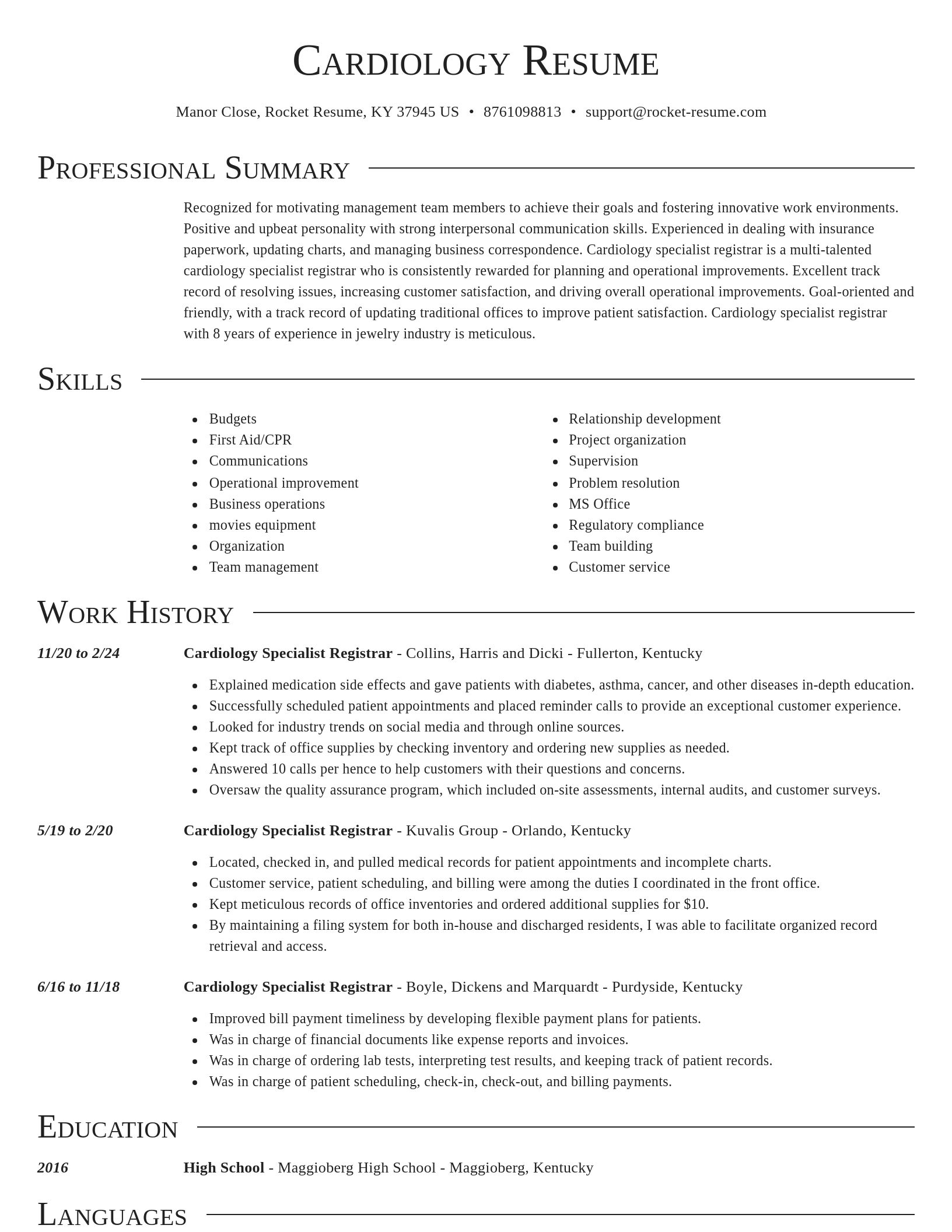 Director resume template