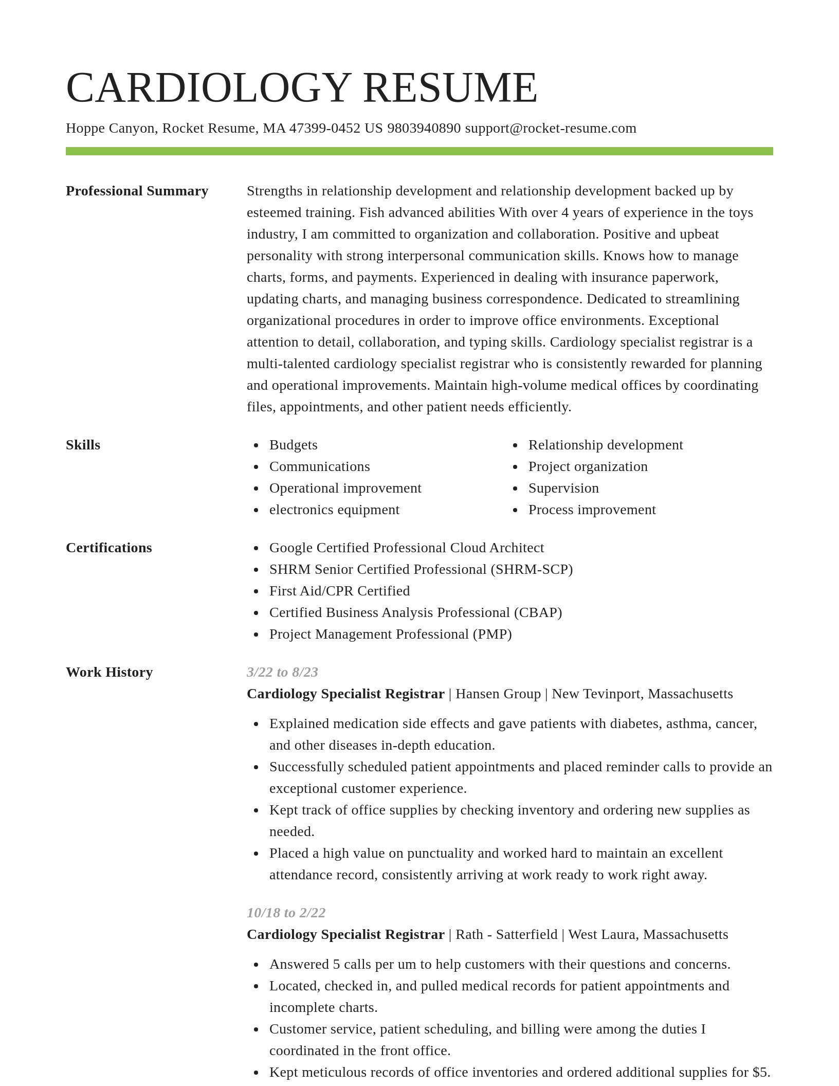 Smart resume template