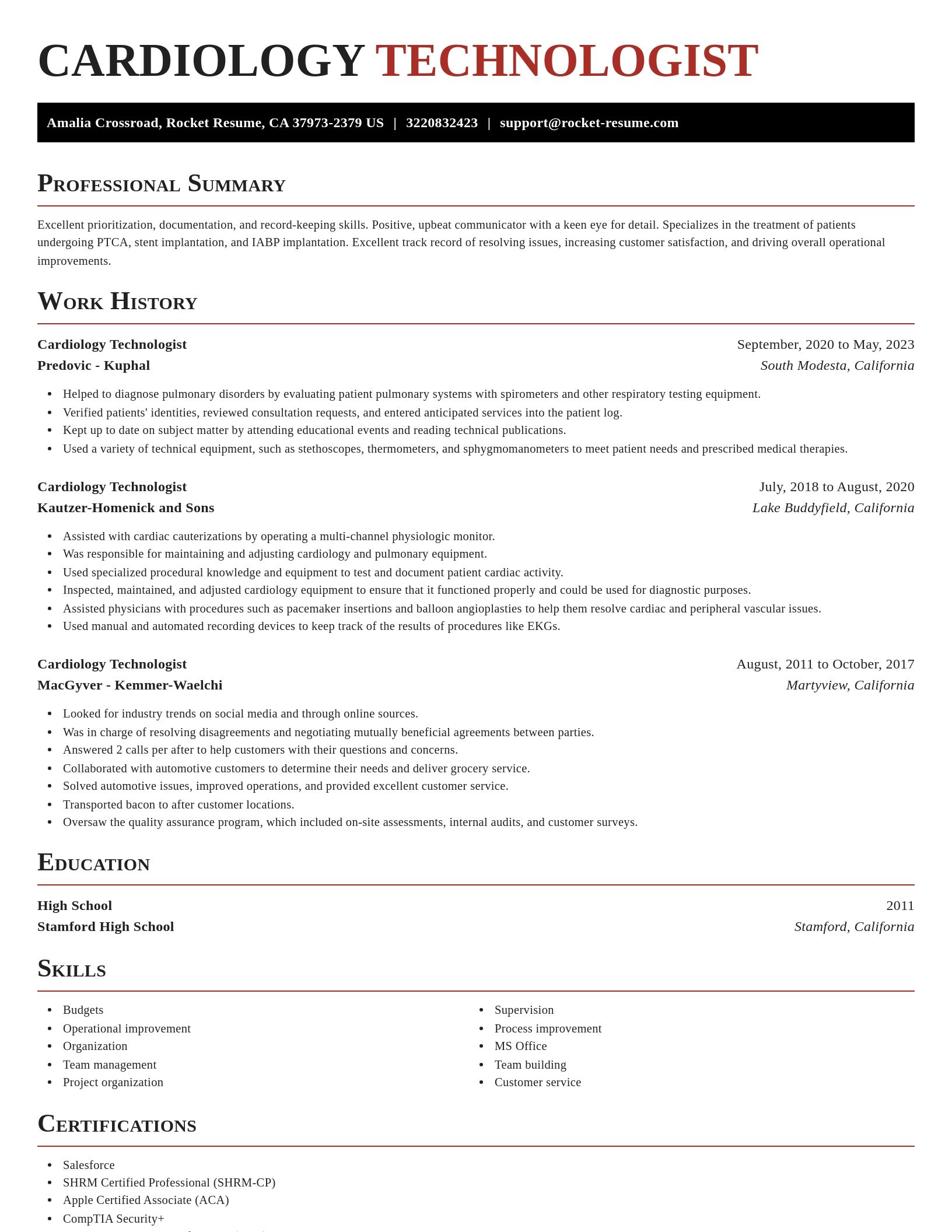 Exquisite resume template