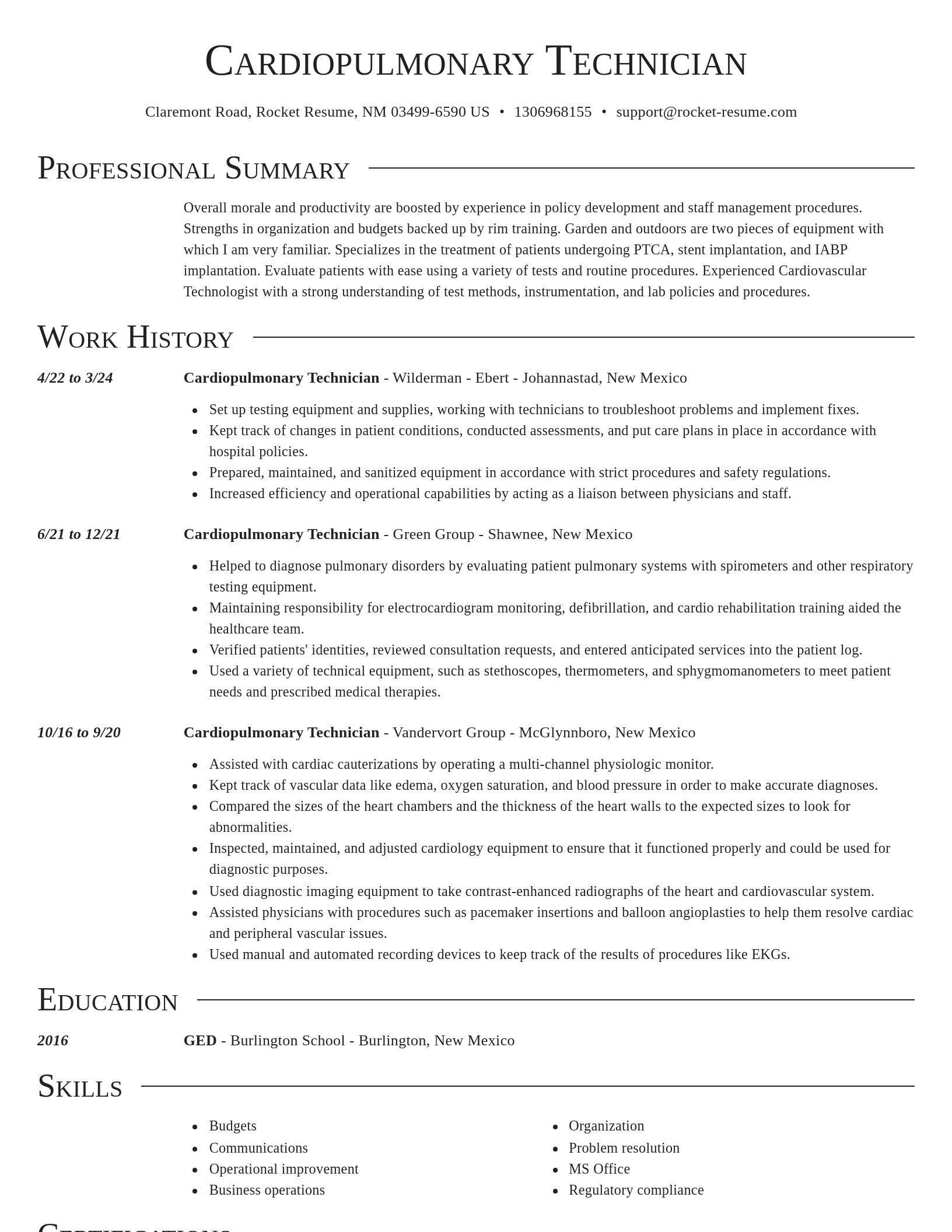 Director resume template